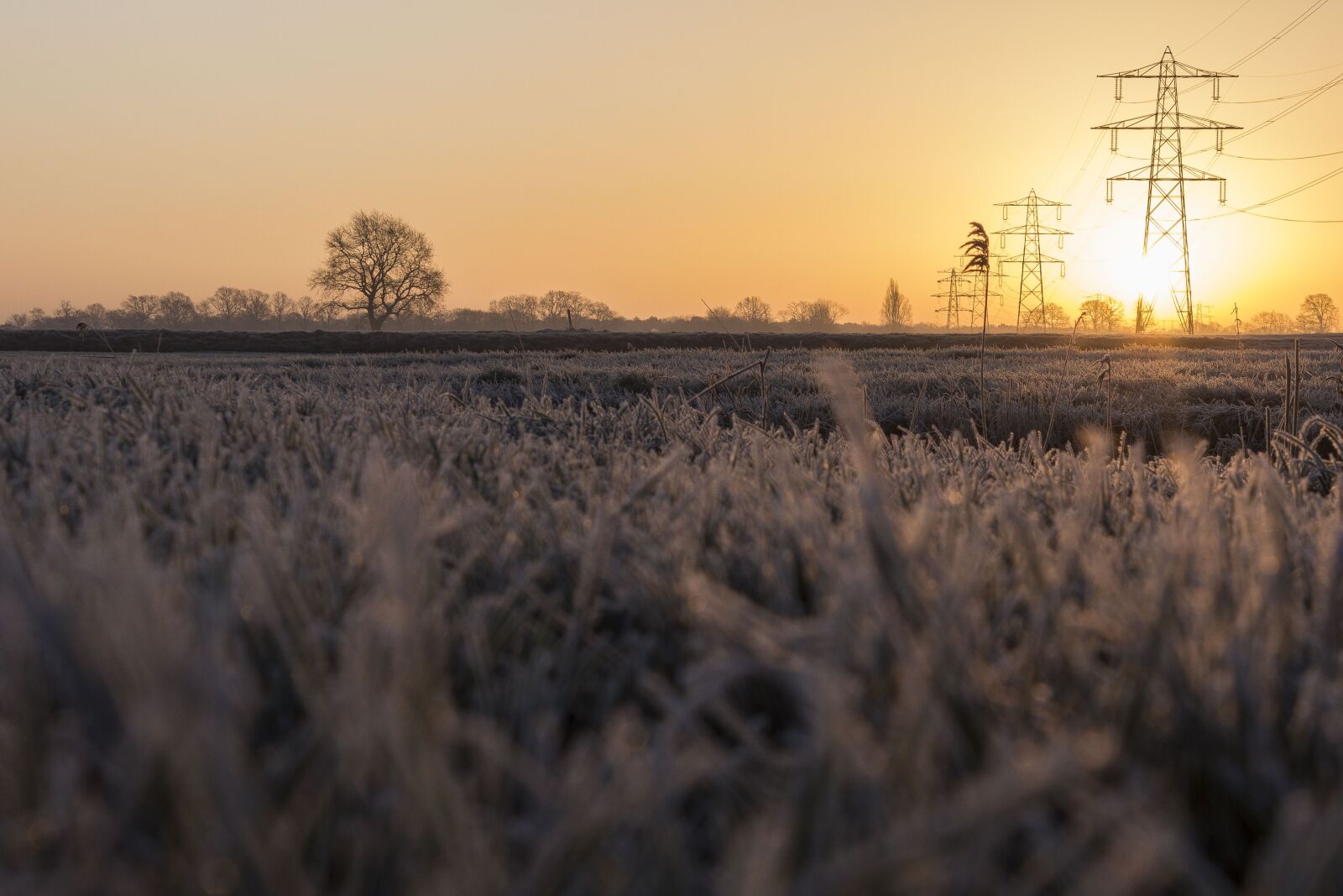 Canon EOS 600D (Rebel EOS T3i / EOS Kiss X5) sample photo. Landscape, nature, field photography