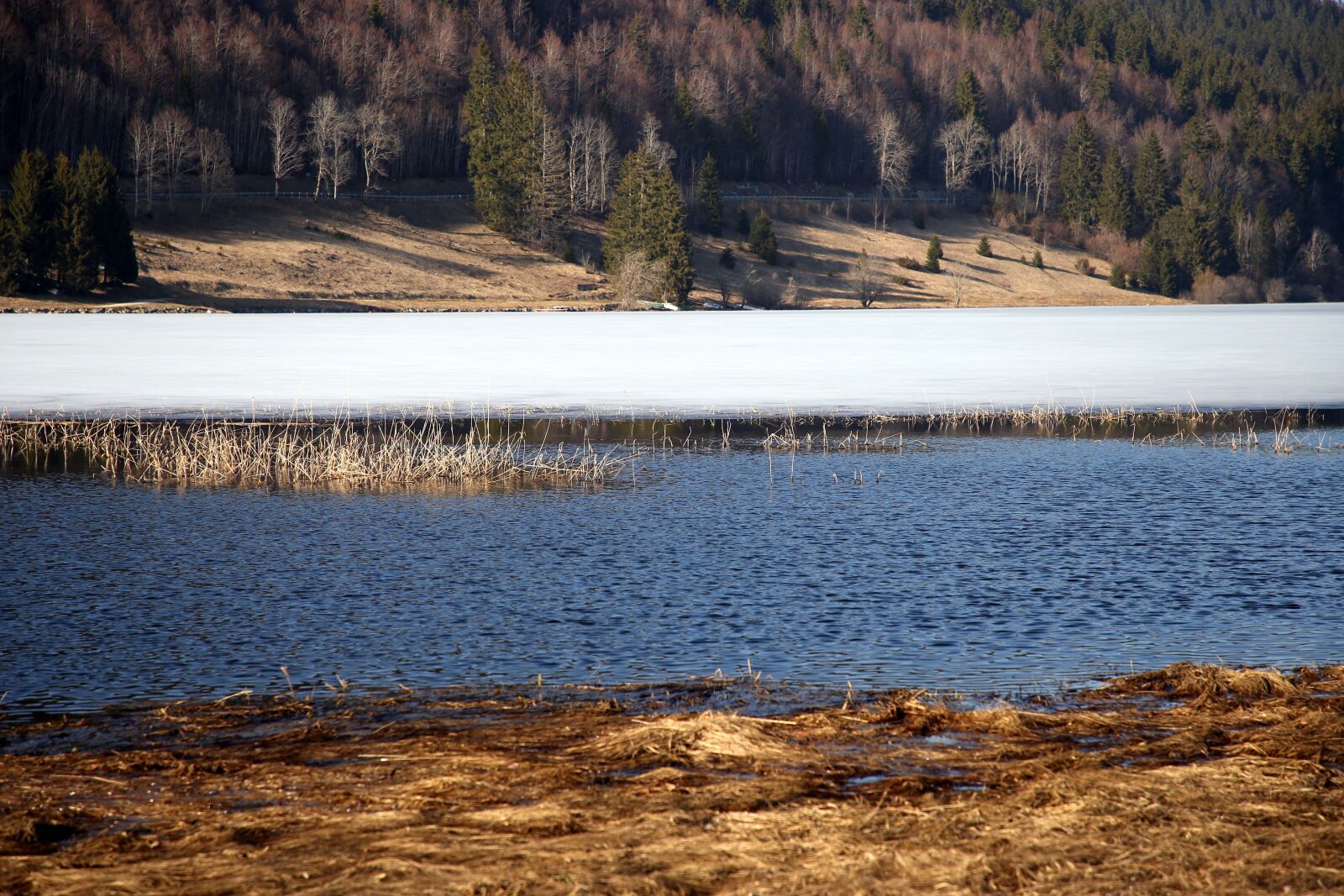 Canon EOS 6D sample photo. Winter, lake, frozen photography