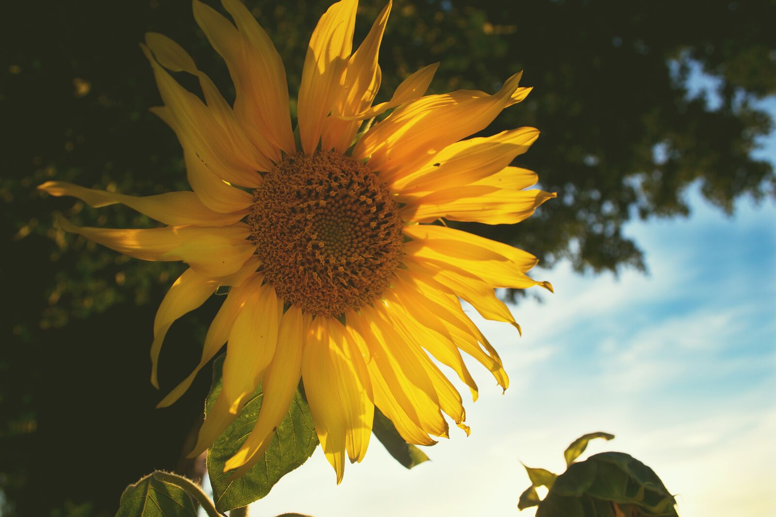 Nikon D3100 sample photo. Nature, blue, masuria photography