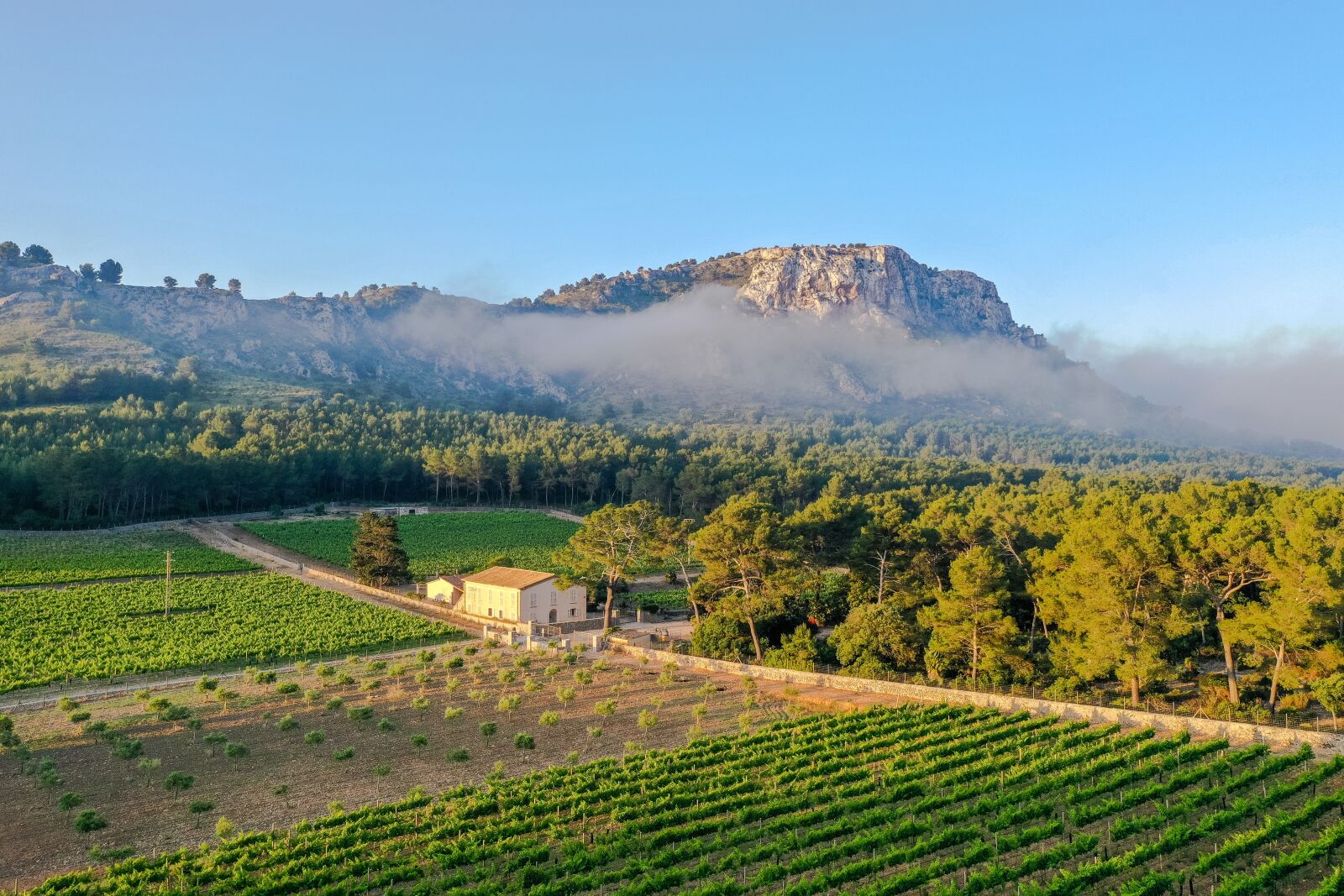 Hasselblad L1D-20c sample photo. Landscape, mallorca, epic photography