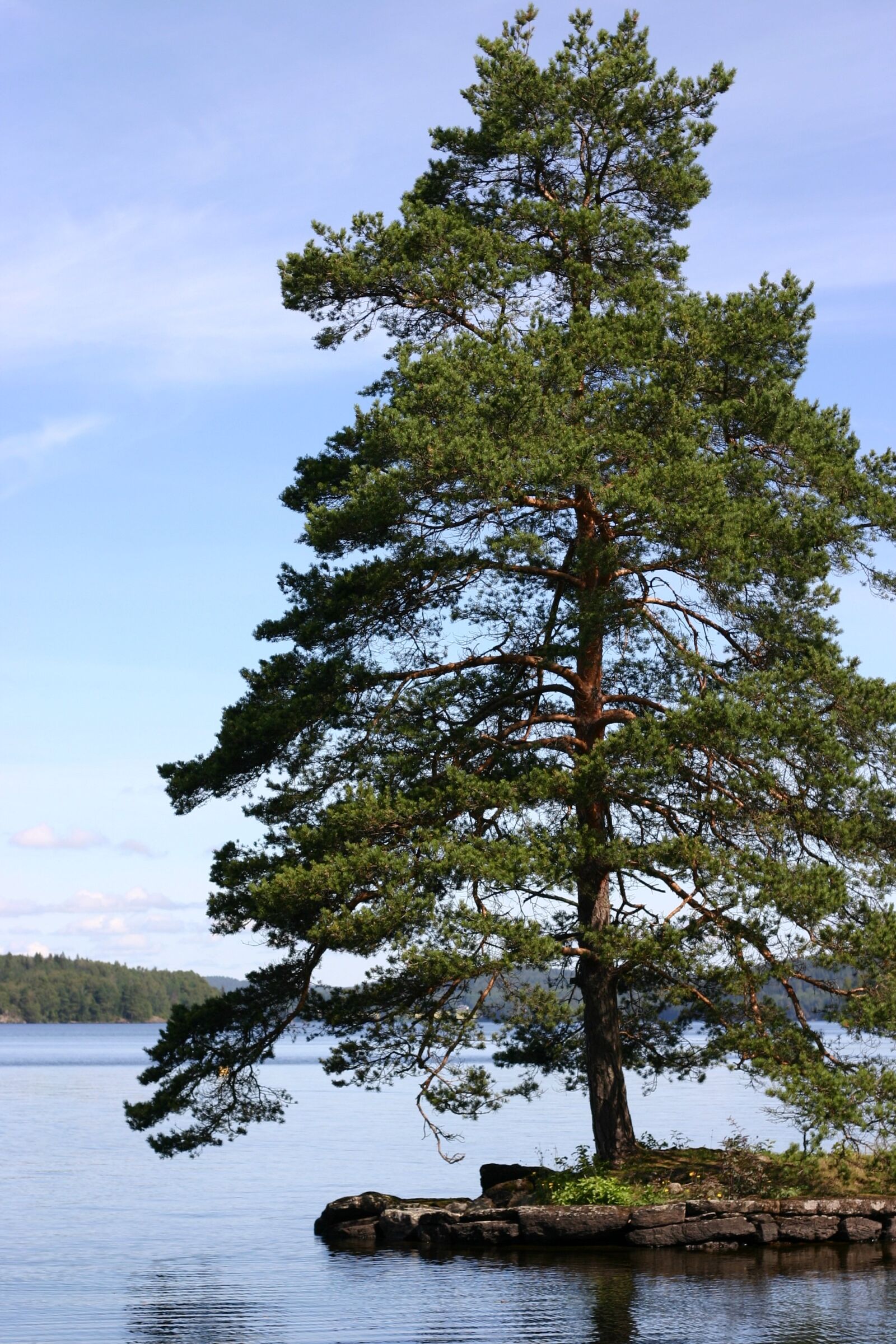 Canon EOS 300D (EOS Digital Rebel / EOS Kiss Digital) sample photo. Lake, sweden, water photography