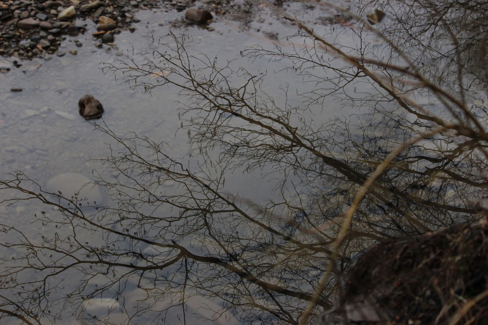 Canon EOS 600D (Rebel EOS T3i / EOS Kiss X5) sample photo. Nature, reflection, pond photography