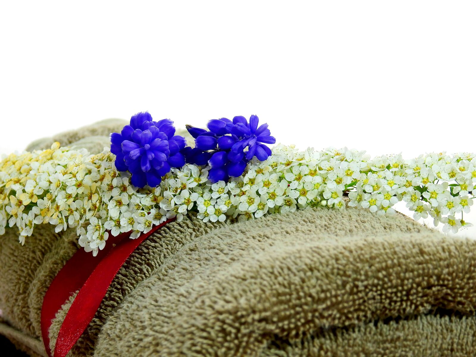 Nikon Coolpix P900 sample photo. Flower, deco, decoration photography