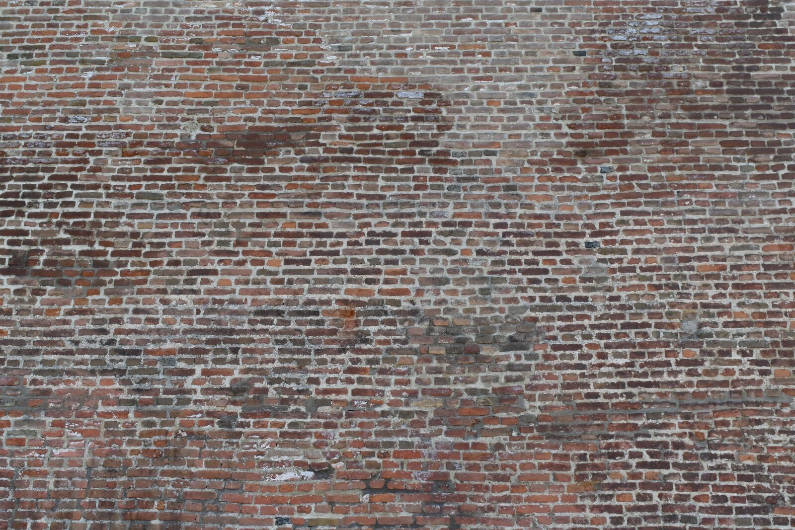 Nikon D5500 sample photo. Wall, pattern, stone, solid photography