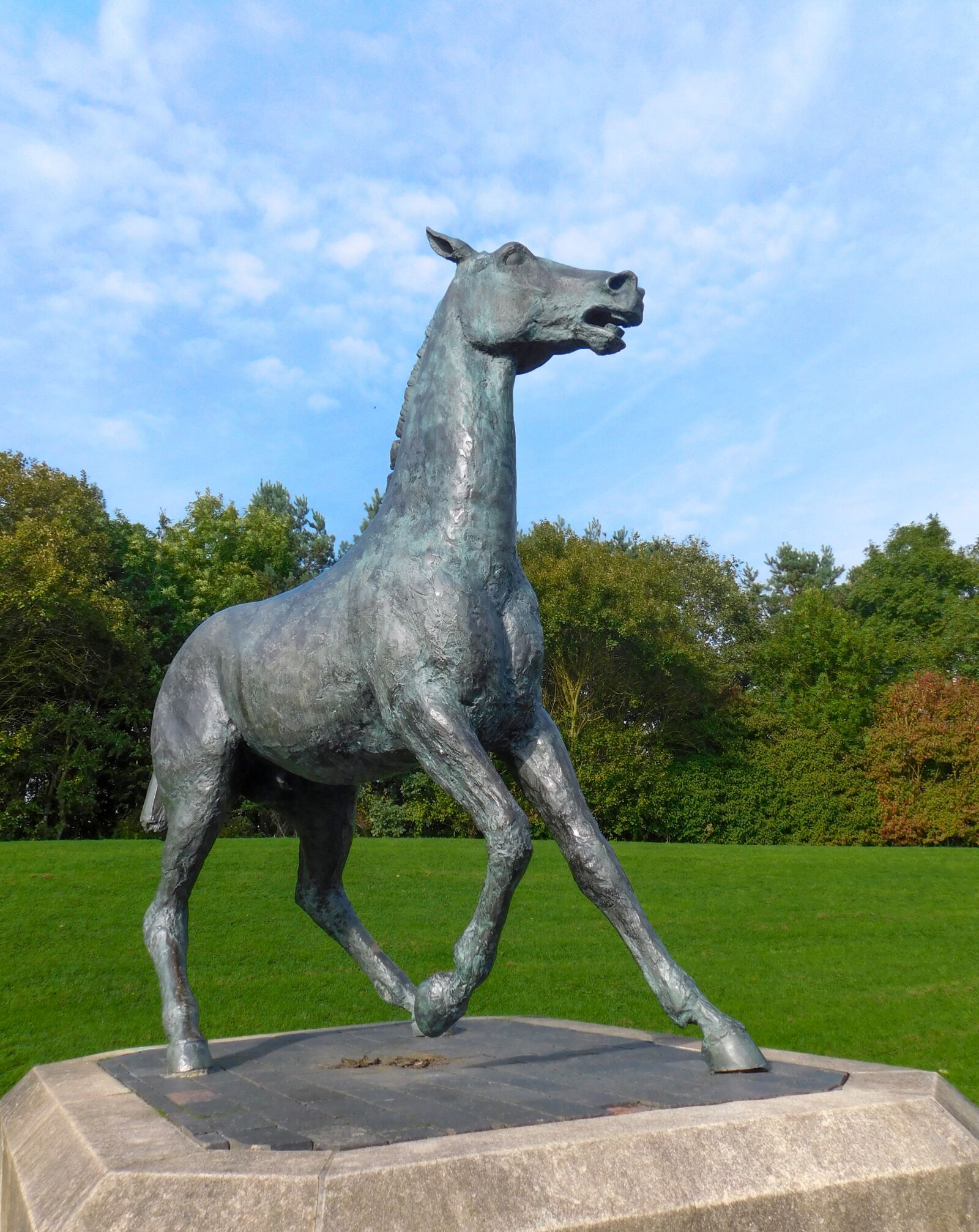Nikon Coolpix L840 sample photo. Horse monument, horse, monument photography