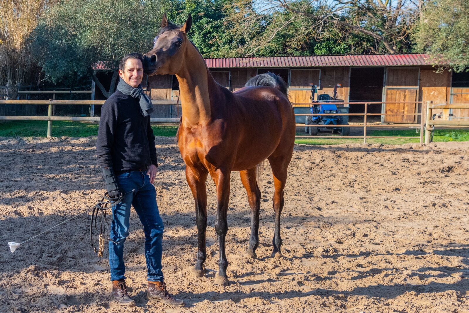 Nikon D850 sample photo. Pure-blood arab, horse, dressage photography