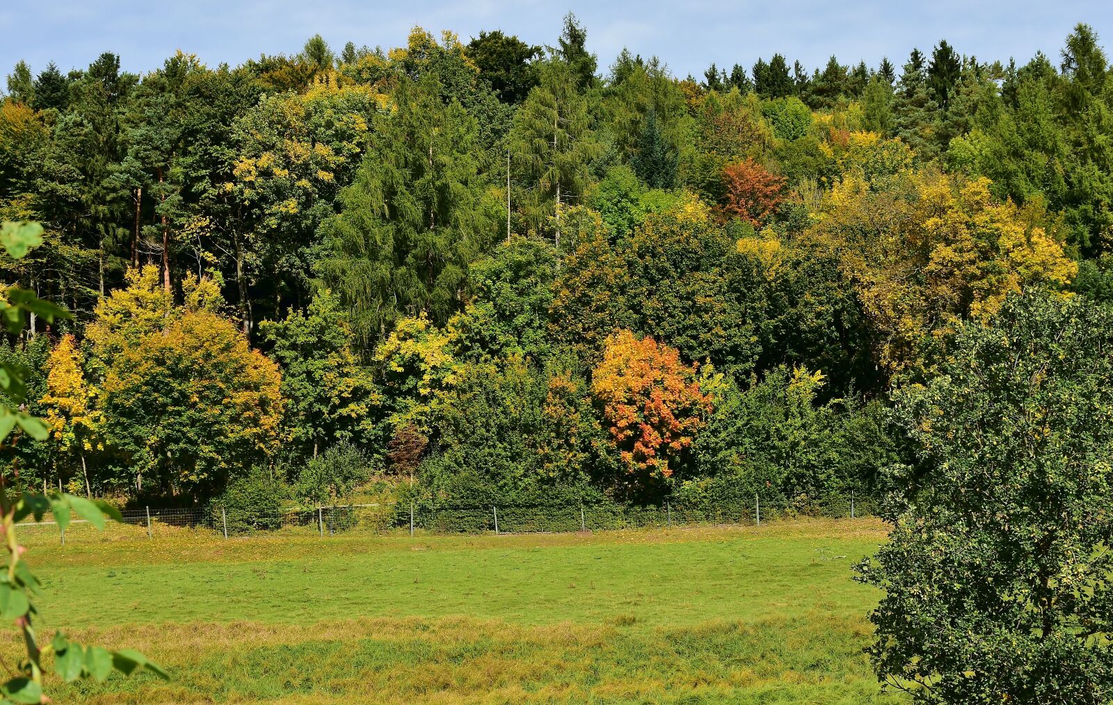 Nikon D7200 sample photo. Autumn, october, golden october photography