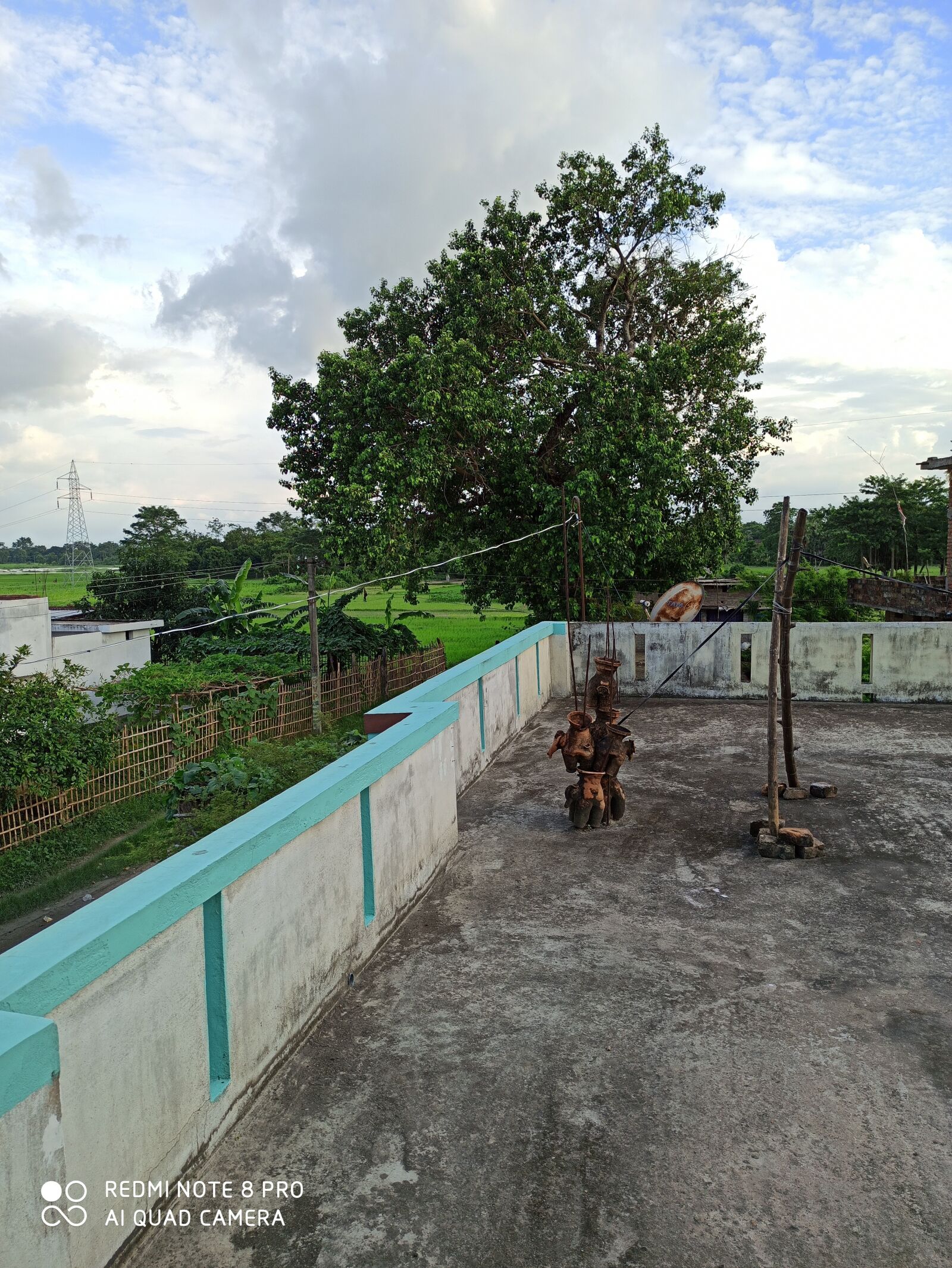 Xiaomi Redmi Note 8 Pro sample photo. Village, green, nature photography