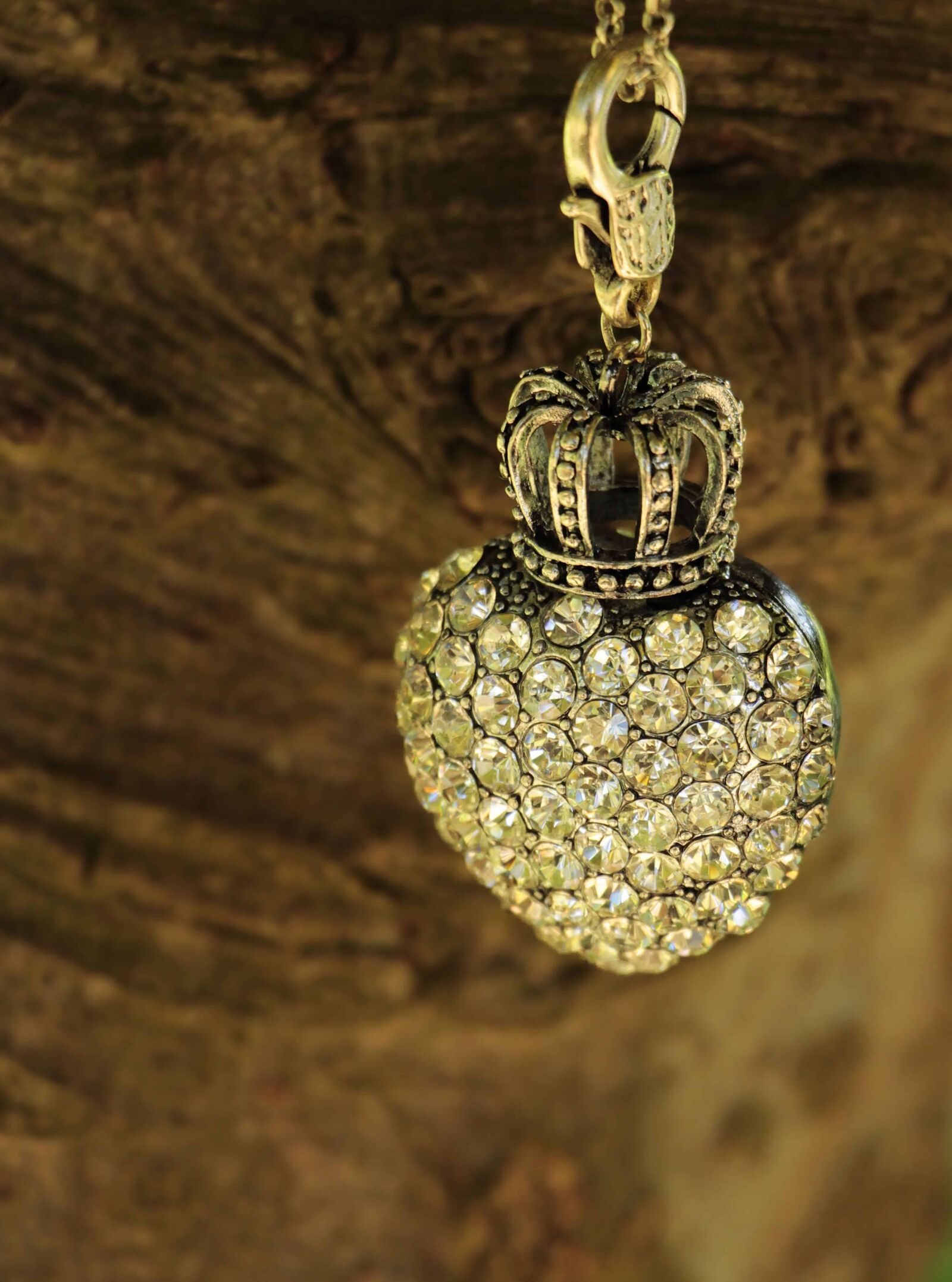 Canon EOS 100D (EOS Rebel SL1 / EOS Kiss X7) sample photo. Crown, reflection, jewelry, metal photography