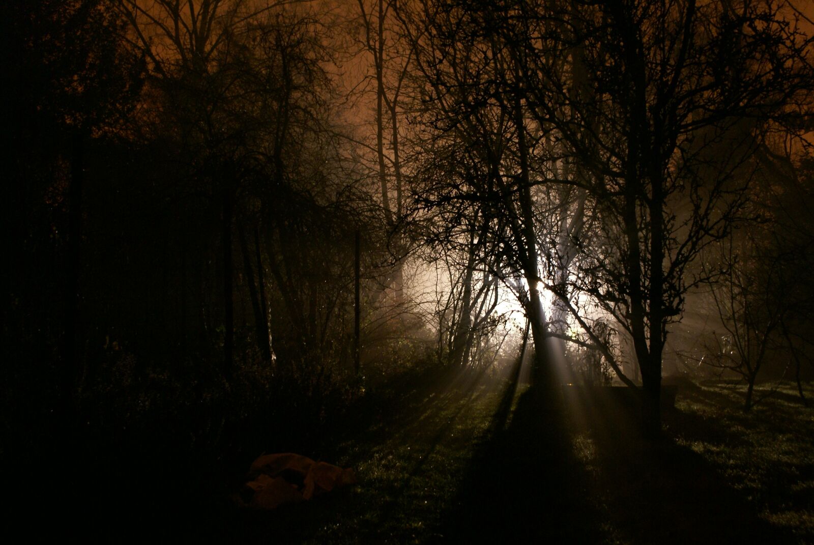 Sony Alpha DSLR-A100 sample photo. Night, light, creepy photography