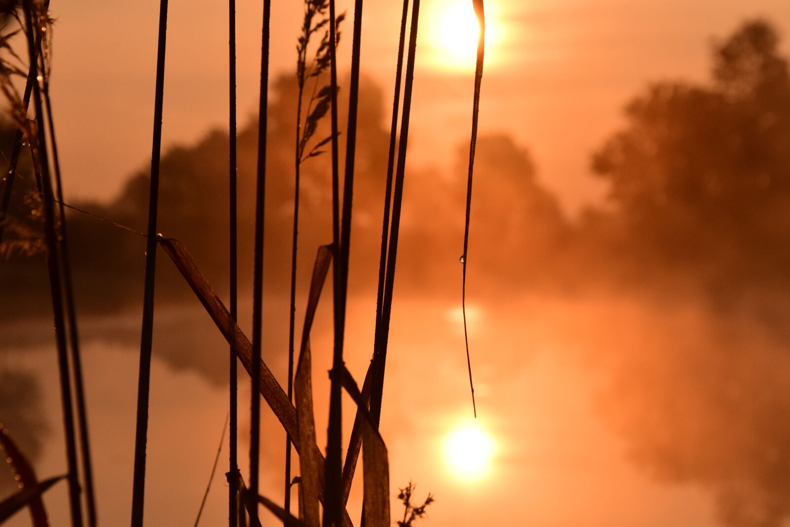 Nikon D3300 sample photo. Sunrise, morgenrot, skies photography