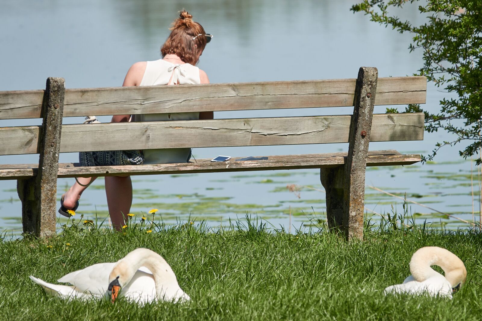 Sony Cyber-shot DSC-RX10 IV sample photo. Swan, bank, woman photography