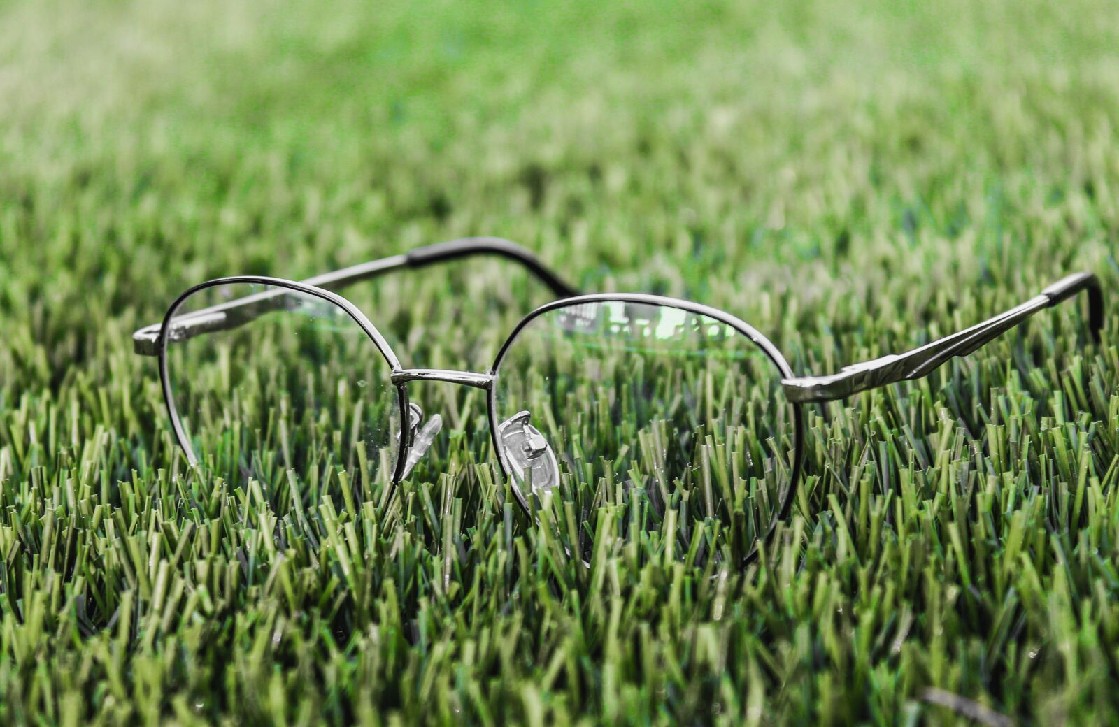 Canon EOS 1100D (EOS Rebel T3 / EOS Kiss X50) sample photo. Glasses, grass, pitch grass photography