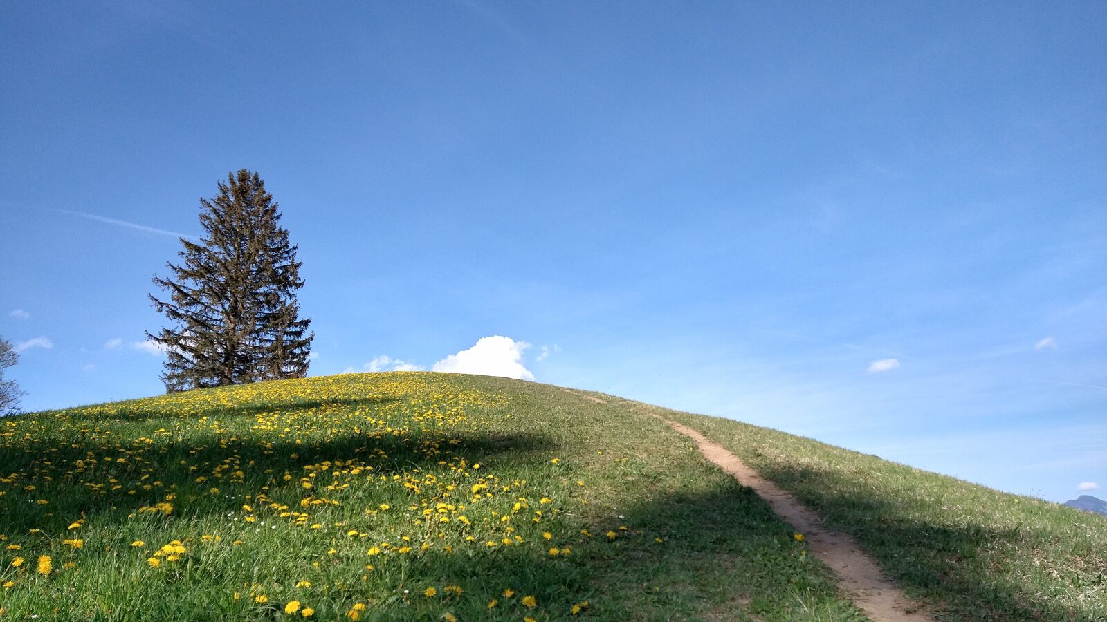 Motorola moto g(8) plus sample photo. Summer, meadow, hill photography