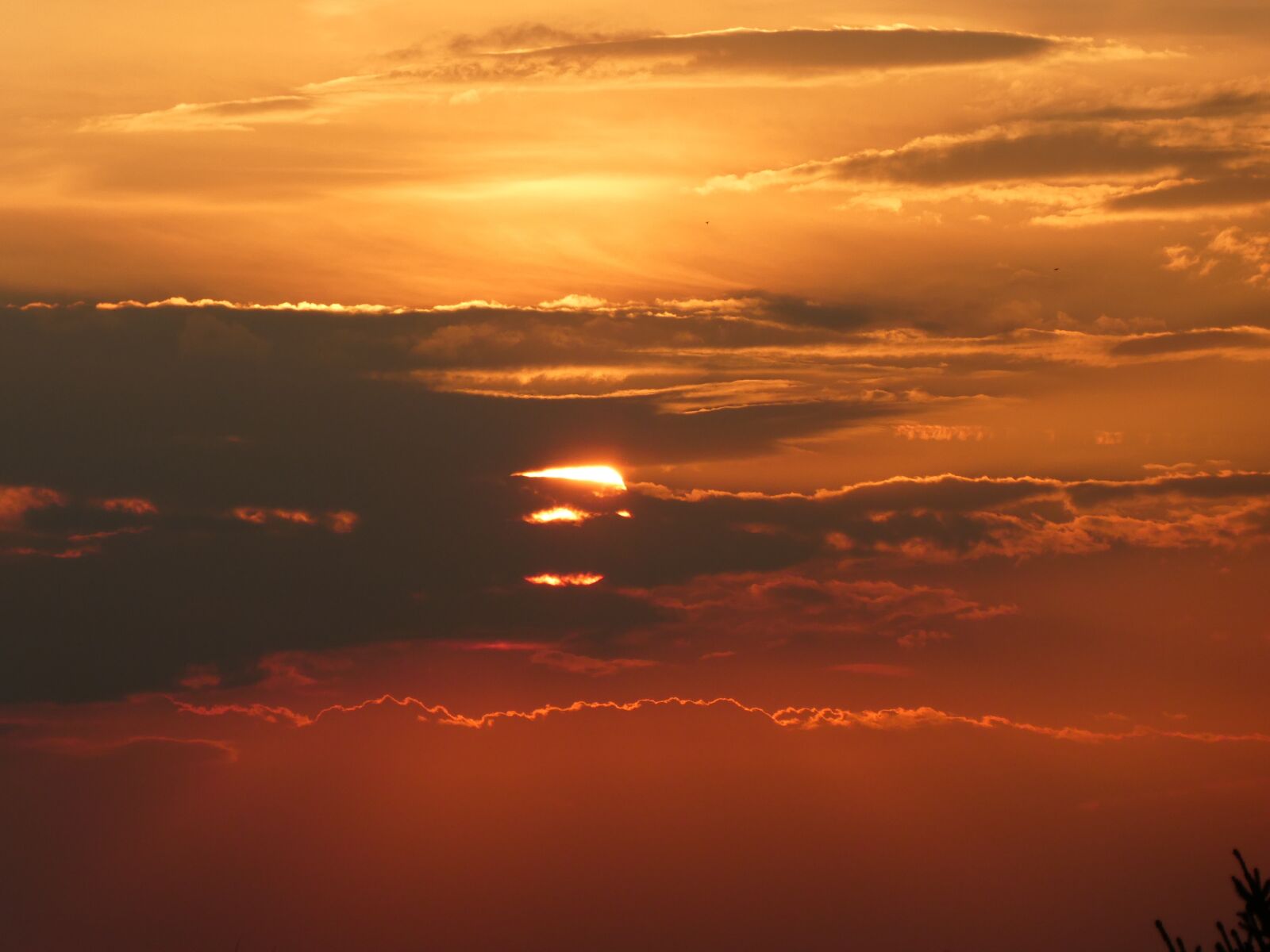 Panasonic DMC-TZ81 sample photo. Sunset, red, gold photography