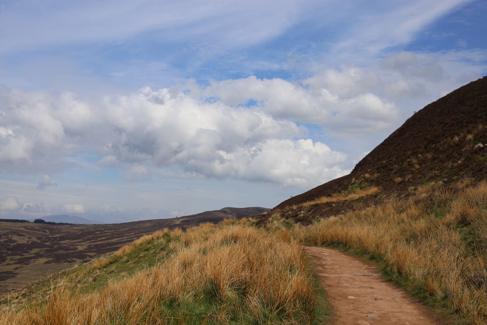 Canon EF 50mm F1.8 STM sample photo. Path, nature, trail photography