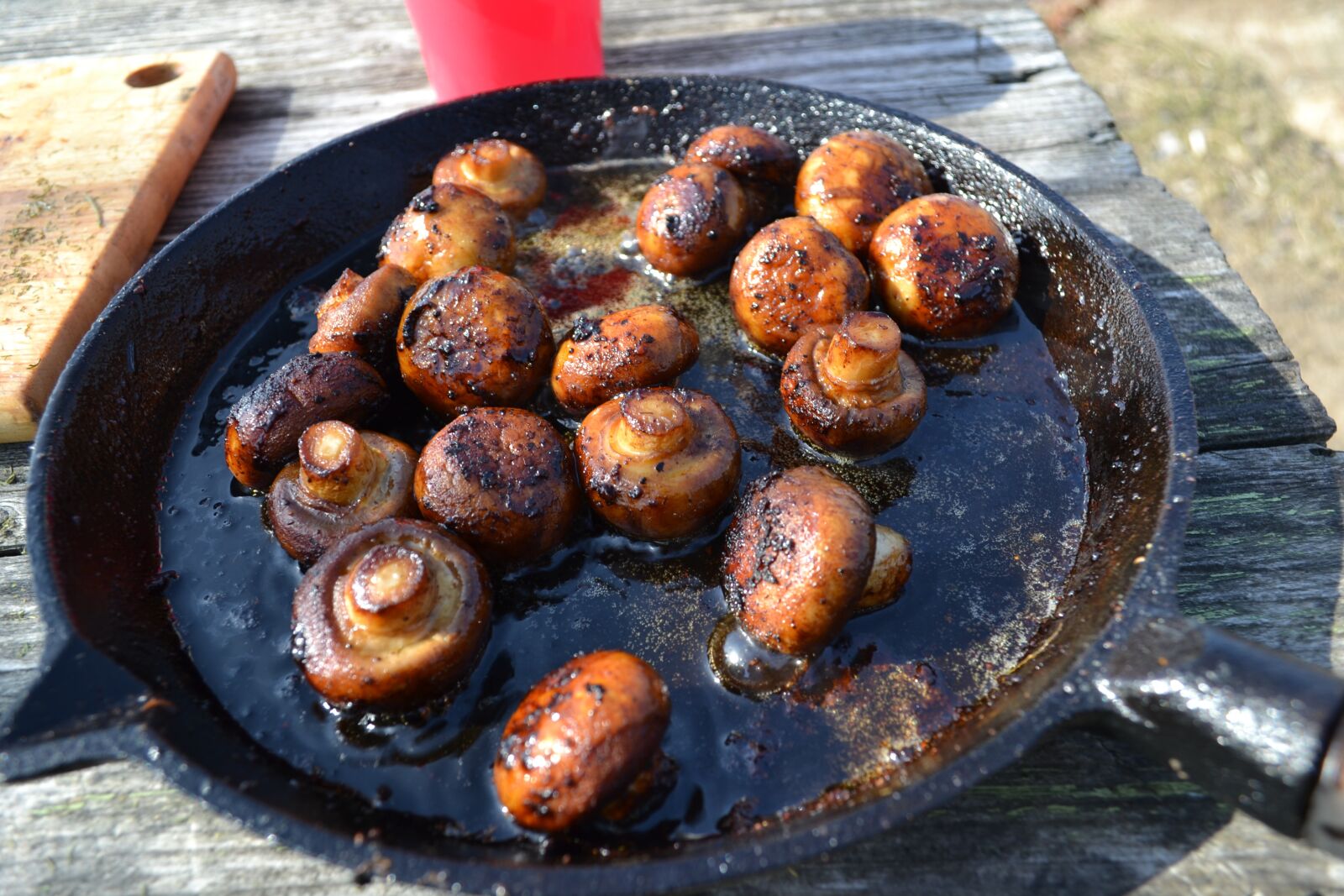 Nikon D3100 sample photo. Mushrooms, food, grill photography