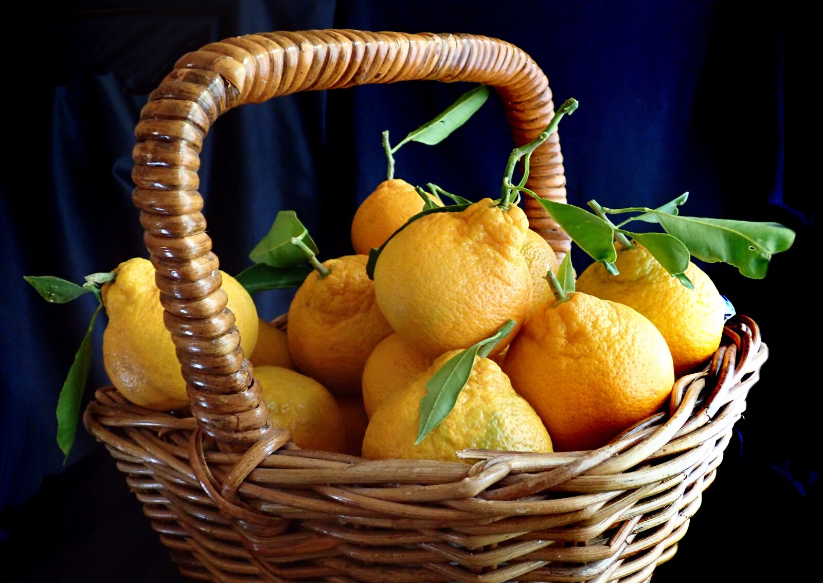 Olympus TG-5 sample photo. Fruit, mandarins, citrus photography