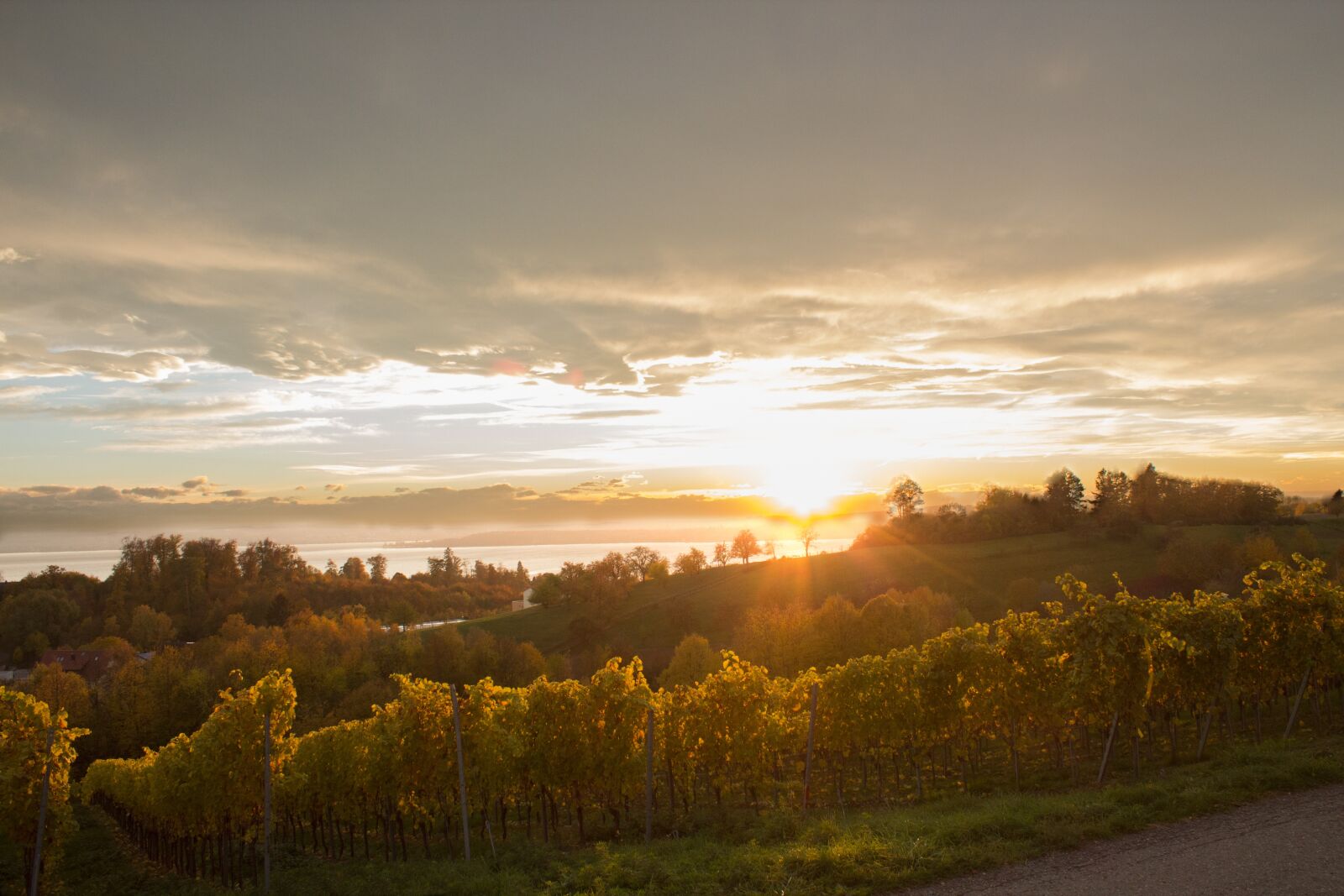 Canon EOS 600D (Rebel EOS T3i / EOS Kiss X5) sample photo. Sun, sunset, hdr photography