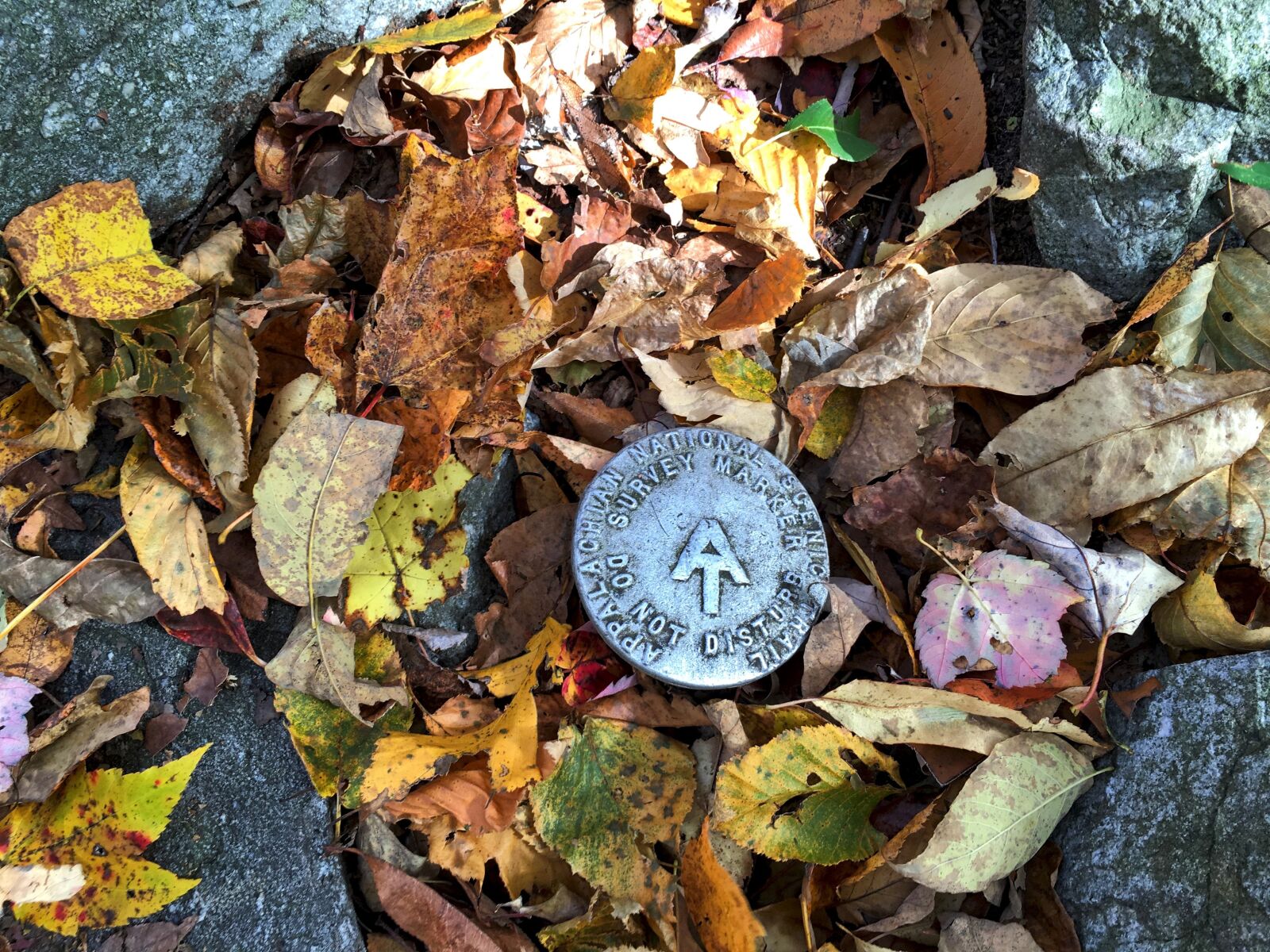 Apple iPhone 6s Plus sample photo. Hiking, appalachian trail, landscape photography