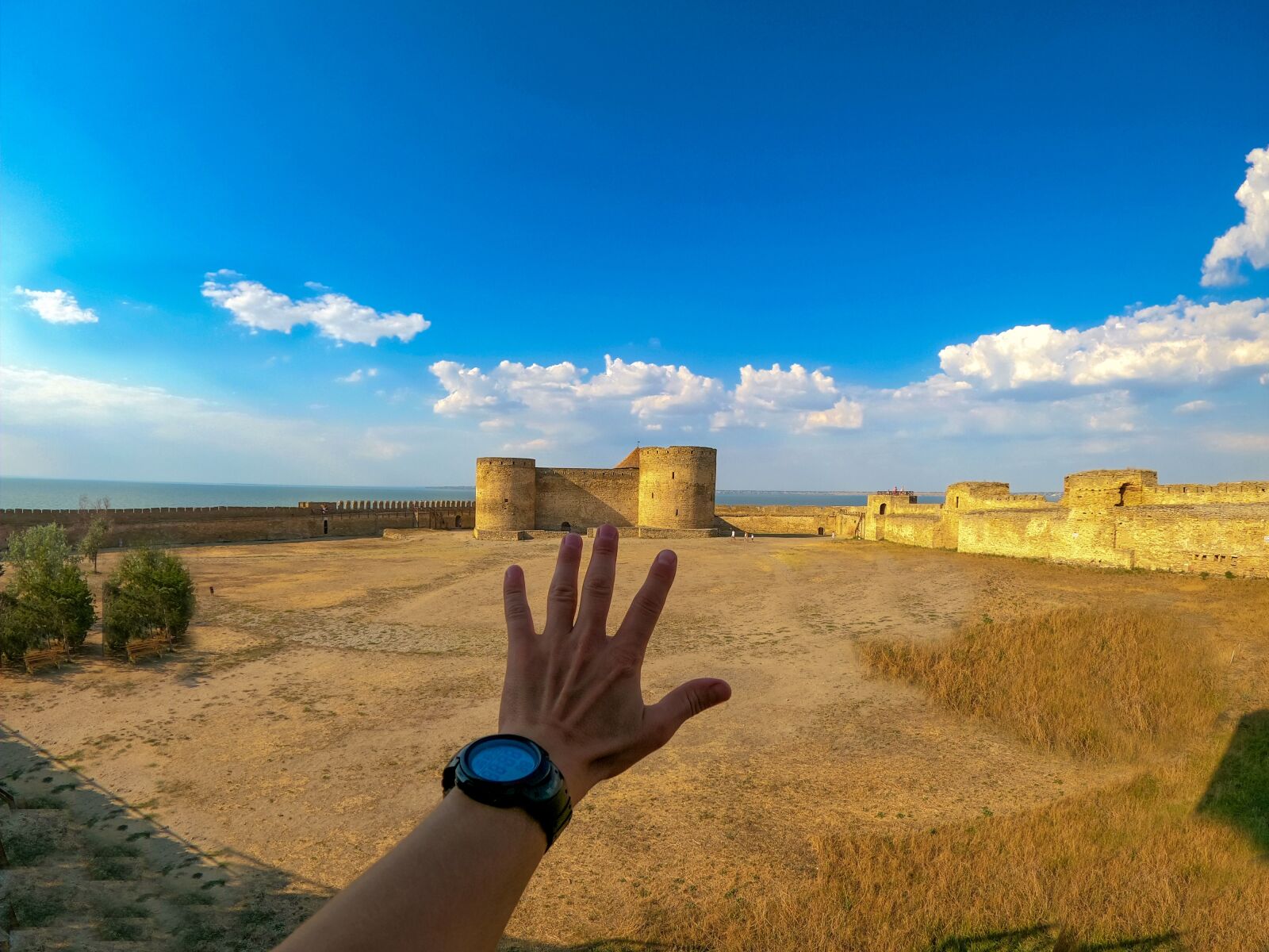 GoPro Hero8 Black sample photo. Gopro8black, gopro, moss photography
