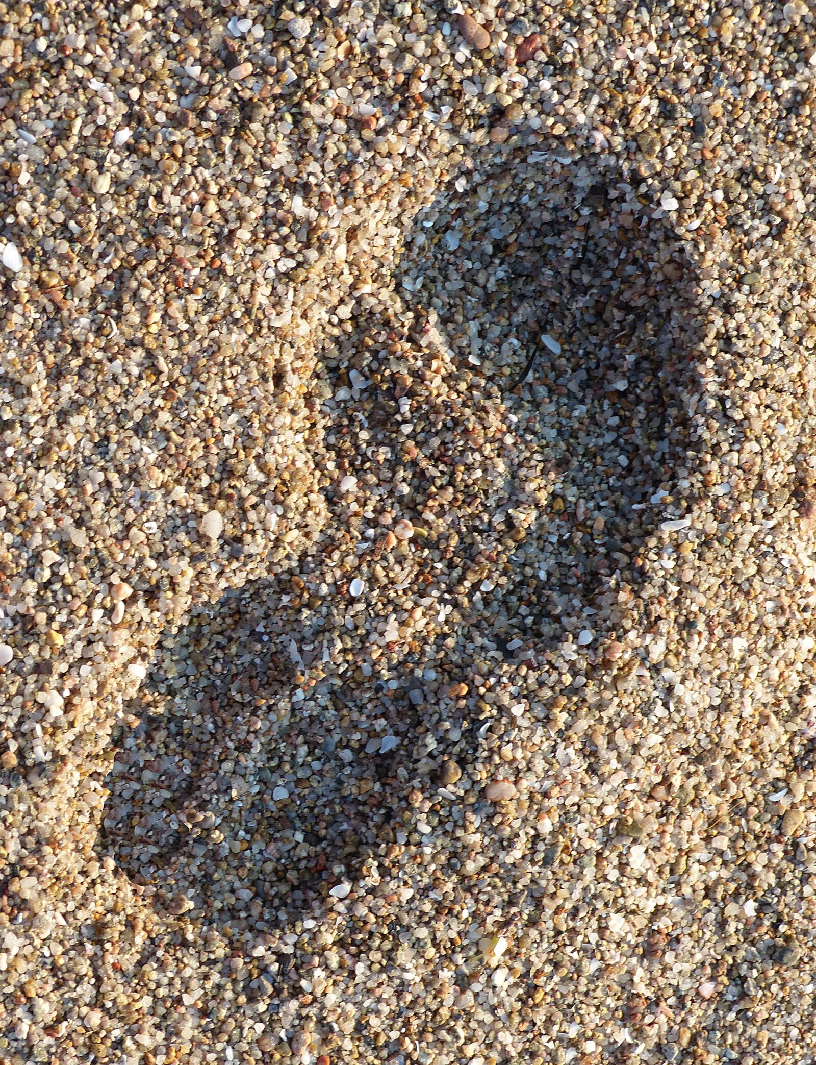 Panasonic Lumix DMC-FZ200 sample photo. Footprint, foot, beach photography
