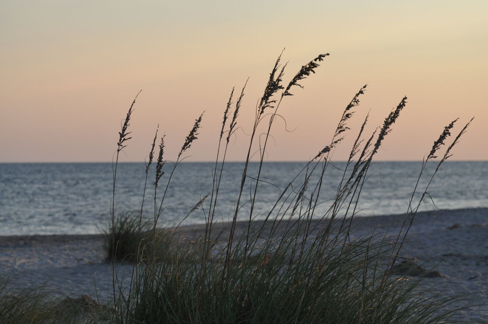 Nikon D5000 sample photo. Beach, grass, sand photography