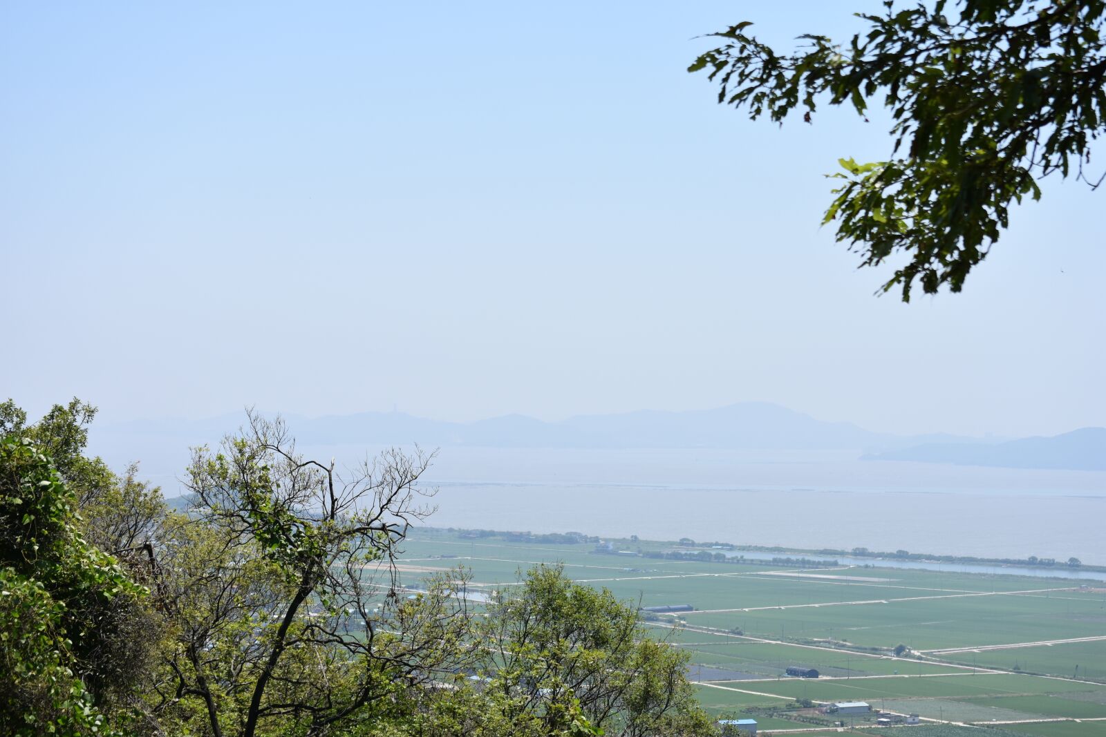 Nikon D7200 sample photo. Ganghwado, falcon energy already photography