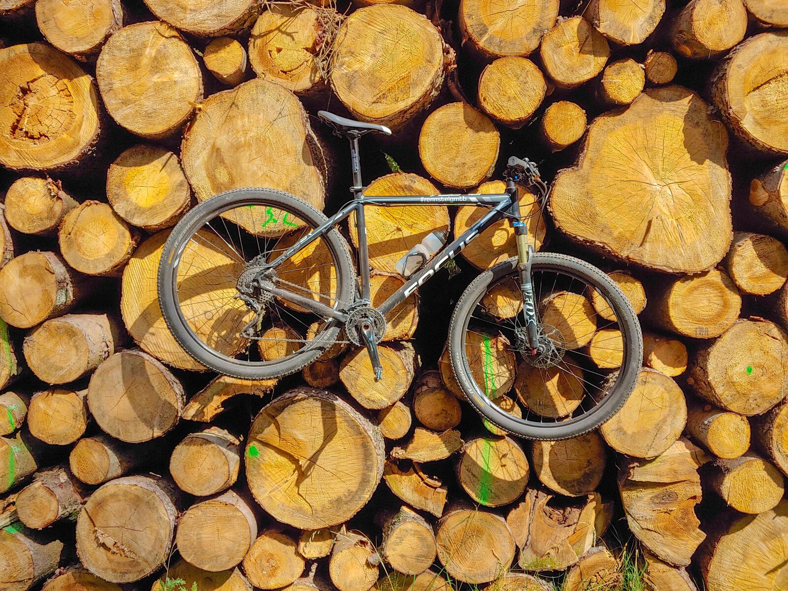 LG G7 THINQ sample photo. Wood, forest, bike photography