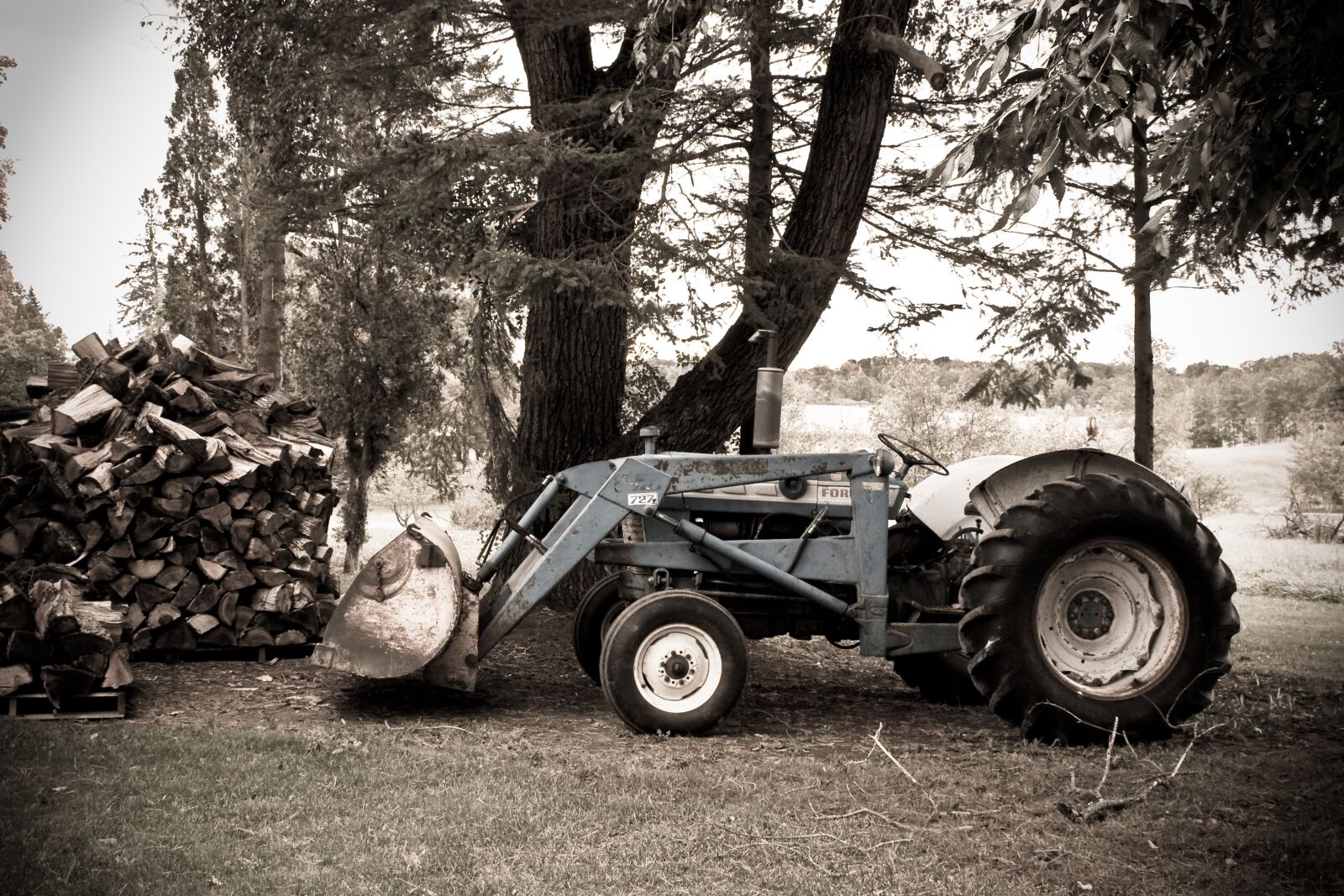 Canon EOS 450D (EOS Rebel XSi / EOS Kiss X2) sample photo. Tractor, country, agriculture photography