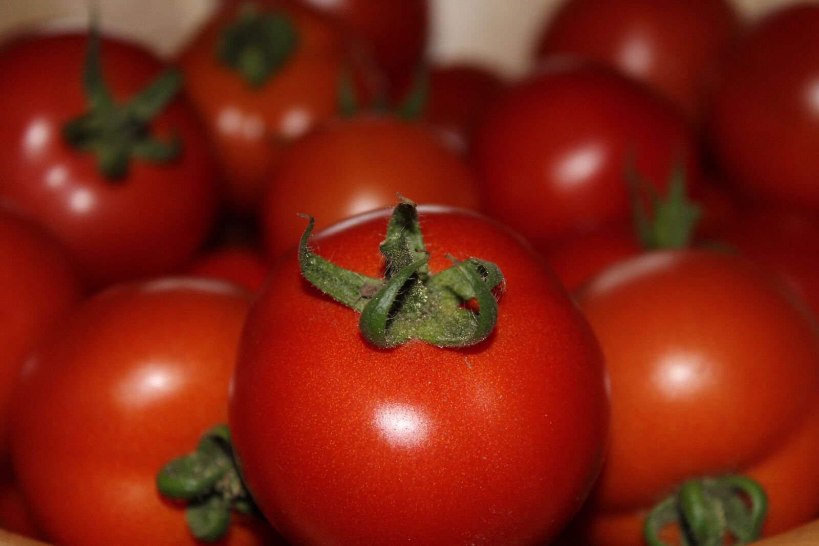 Canon EOS 1200D (EOS Rebel T5 / EOS Kiss X70 / EOS Hi) sample photo. Tomatoes, red, vegetables photography