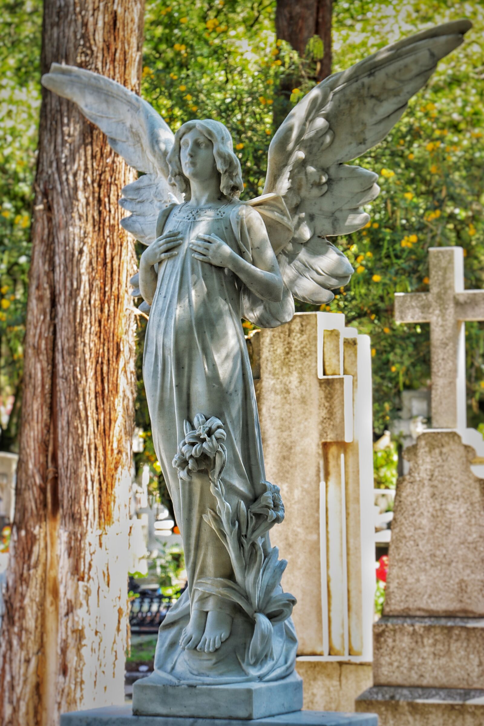 Canon EF-S 18-135mm F3.5-5.6 IS USM sample photo. Angel, graveyard, cemetery photography
