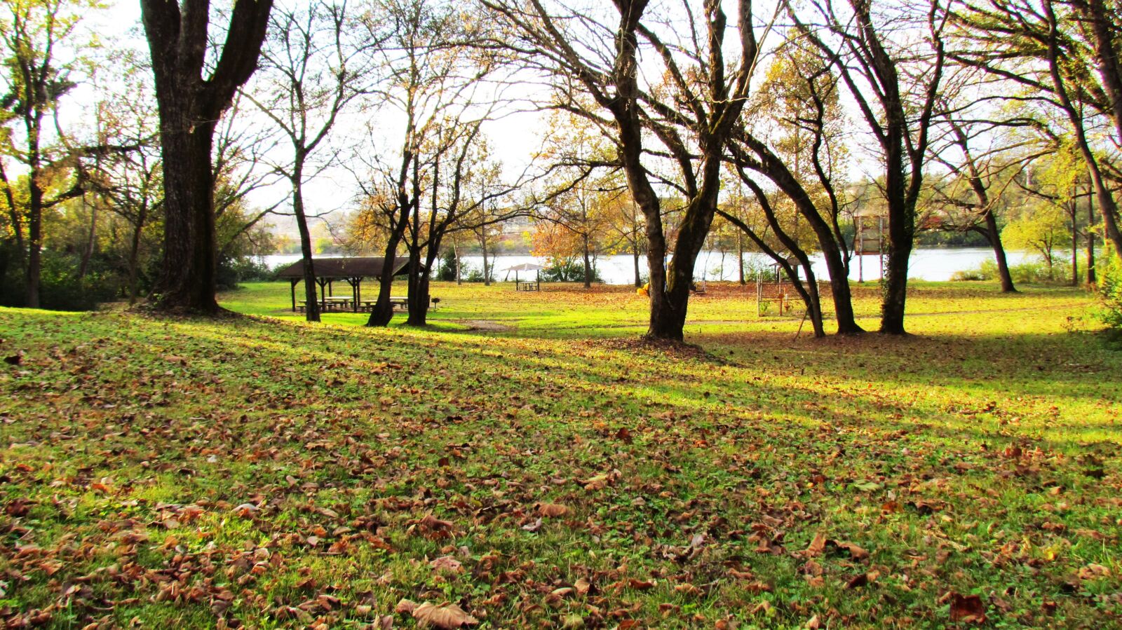 Canon PowerShot SX30 IS sample photo. Knoxville, park, tennessee photography