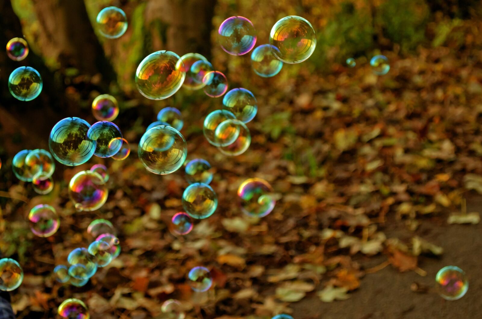 Nikon D5100 sample photo. Background, ball, bubble, child photography