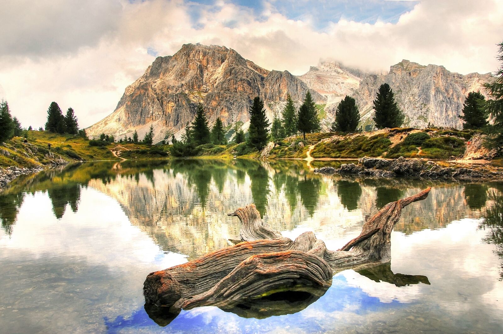 Nikon D40 sample photo. Lech limides, dolomites, alm photography