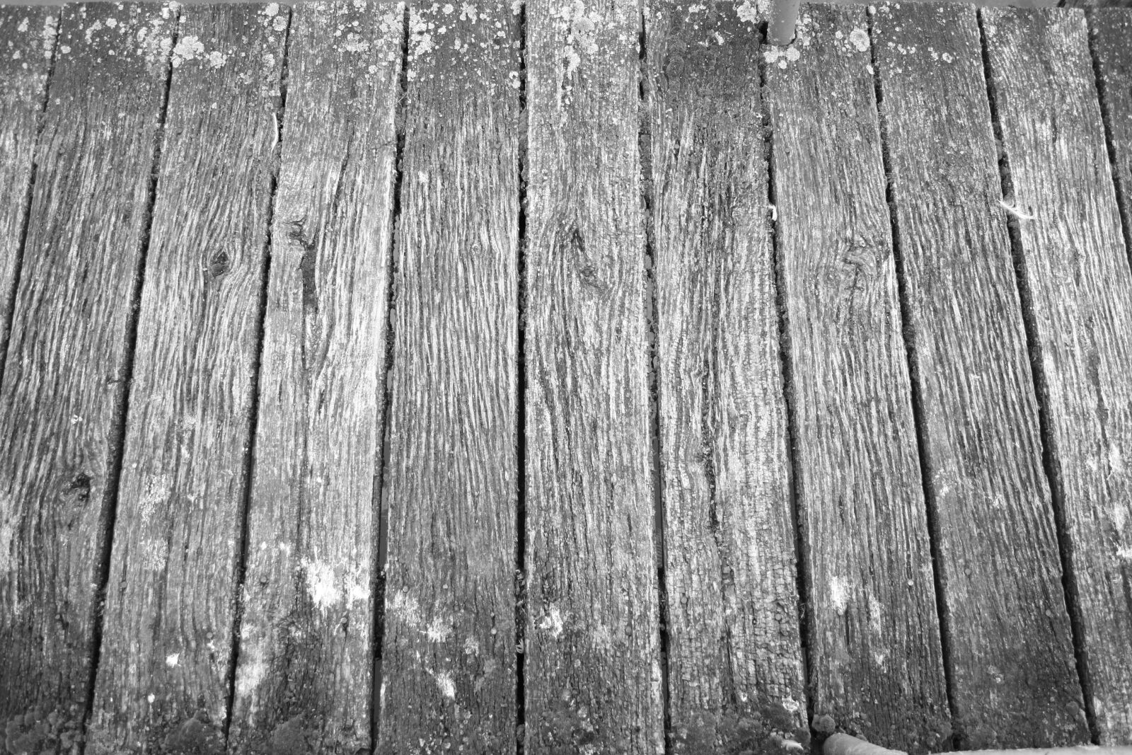 Canon EF-S 18-55mm F3.5-5.6 II sample photo. Black, and, white, wood photography