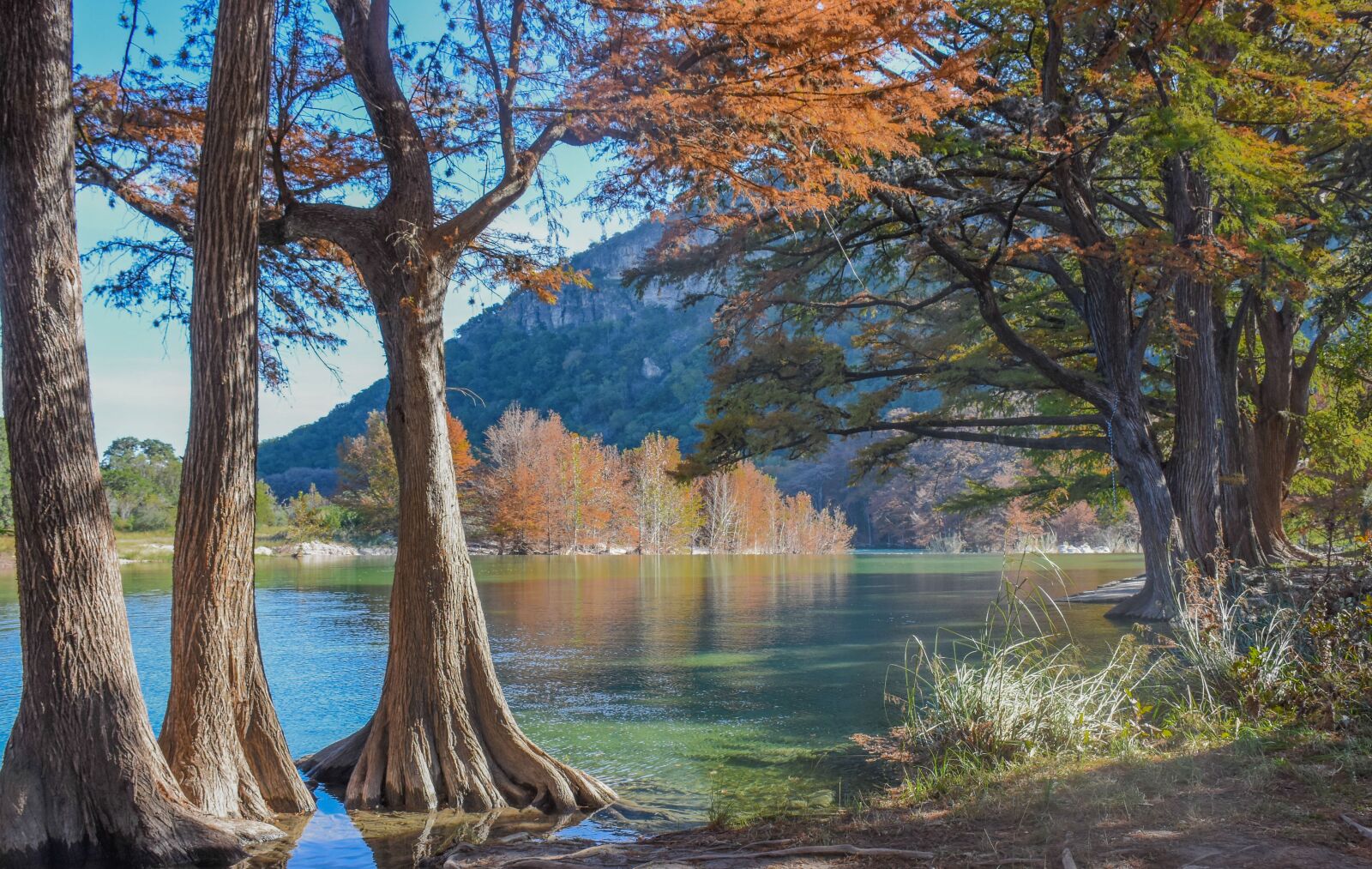 Nikon D7200 sample photo. River, trees, nature photography