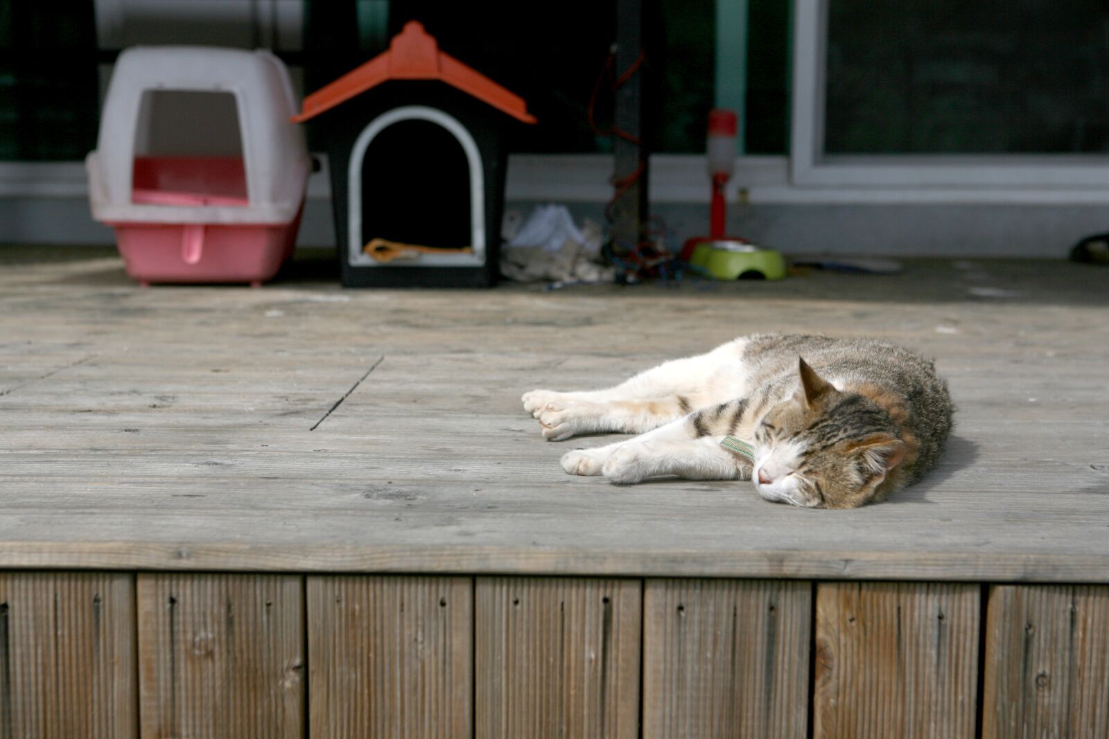 Canon EOS 5D sample photo. Cat, siesta, deck photography