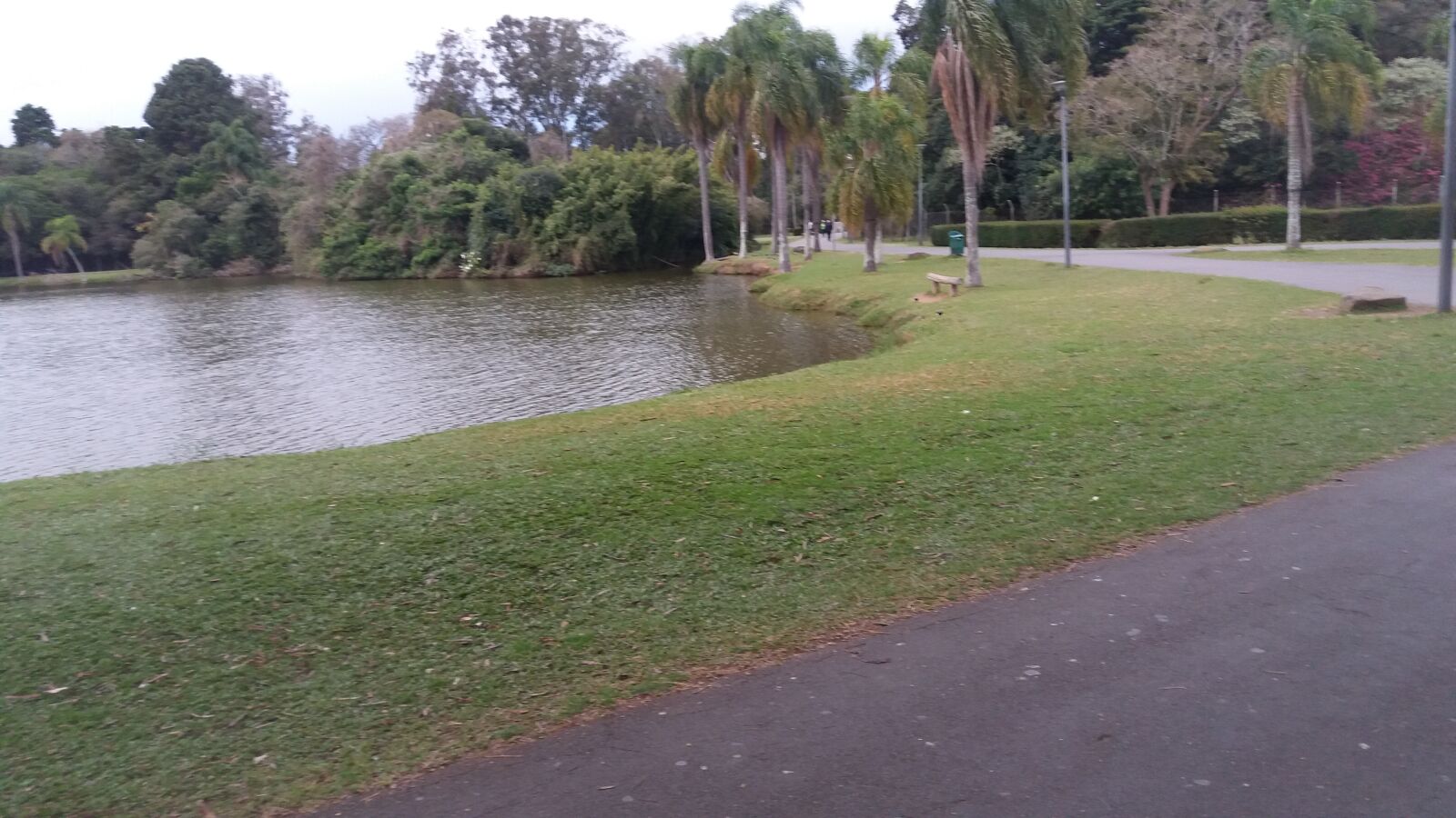 Samsung Galaxy J5 sample photo. Park, nature, landscape photography