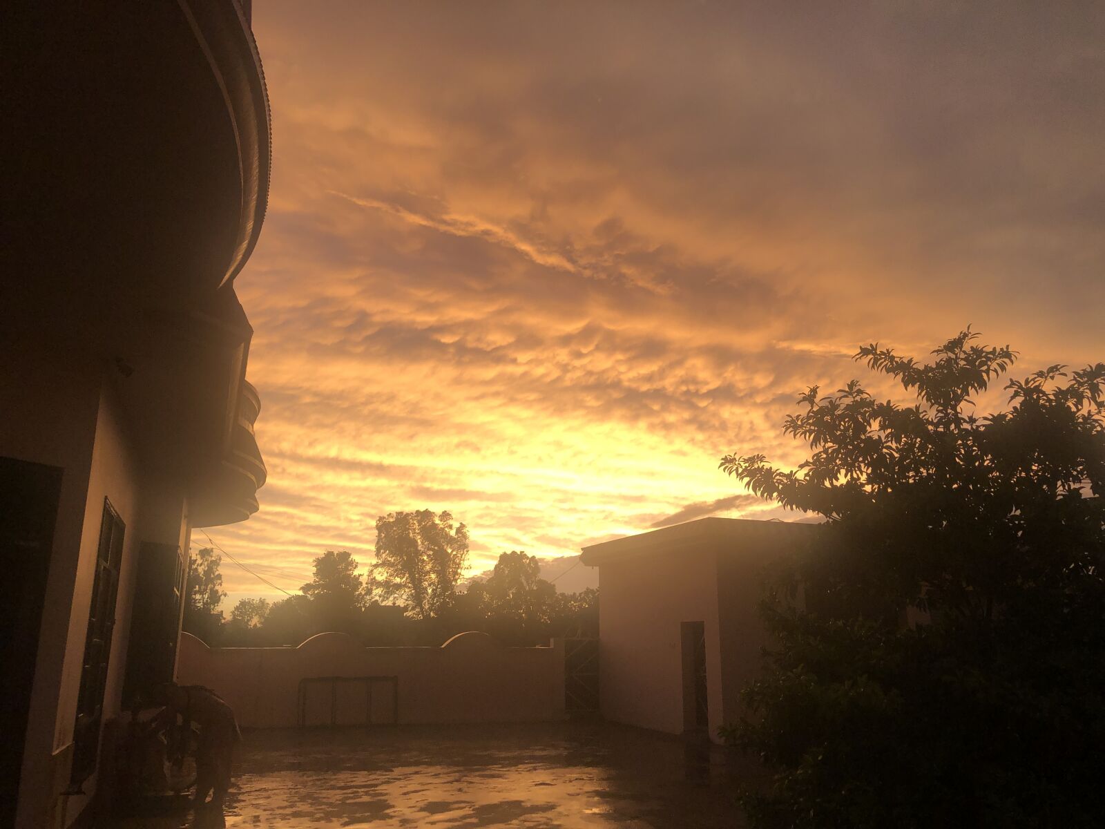 iPhone X back dual camera 4mm f/1.8 sample photo. Sunset after rain, cloudy photography