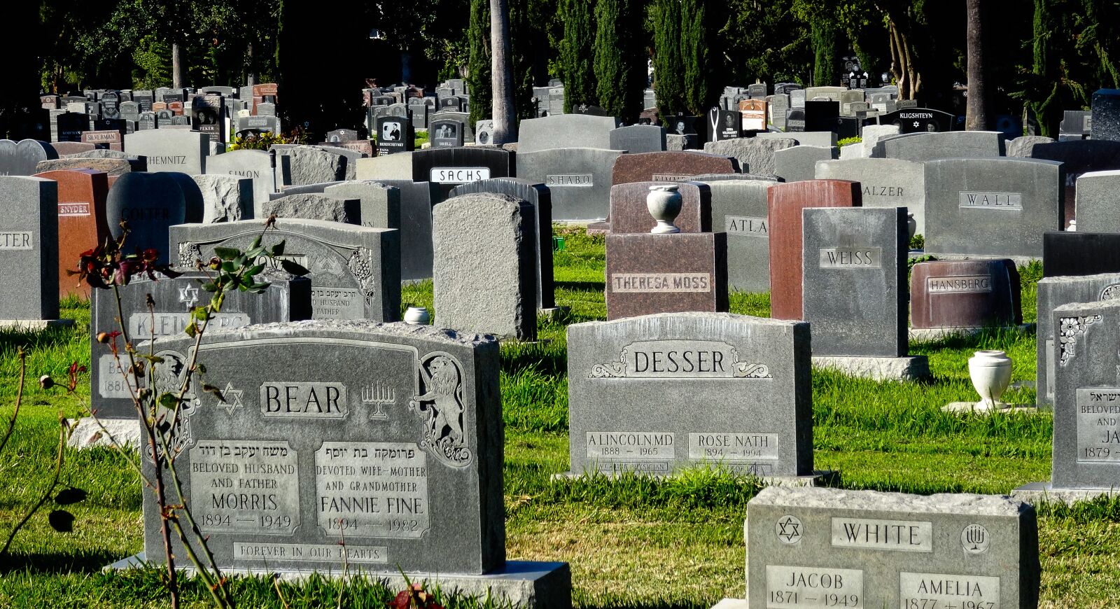 Sony Cyber-shot DSC-HX50V sample photo. Cemetery, jewish, jewish cemetery photography