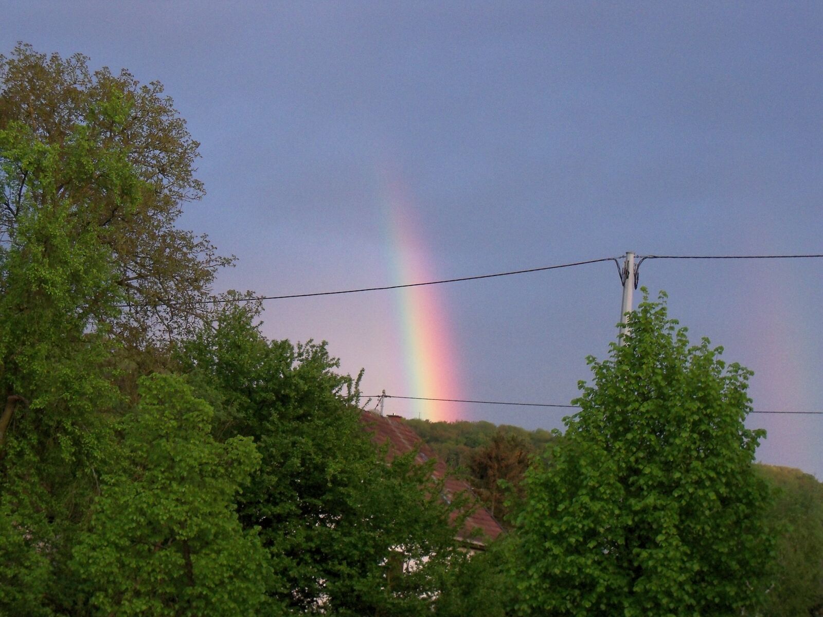 Kodak EasyShare Z915 sample photo. Regenbogen, rainbow, trees photography