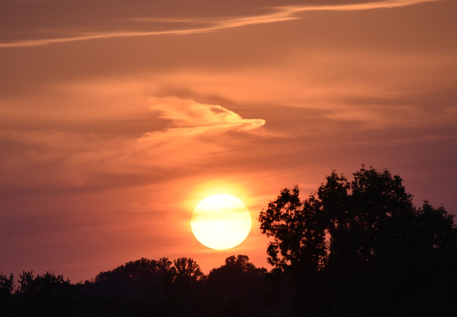 Nikon D810 sample photo. Sunrise, universe, sky photography