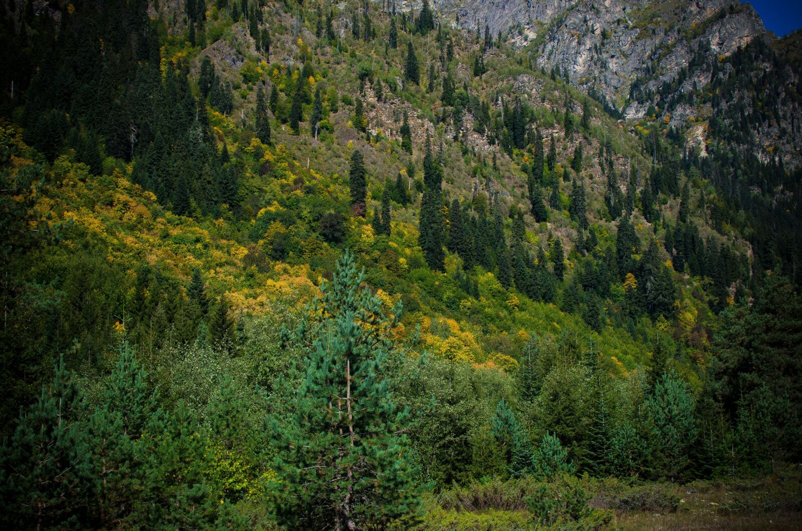 Nikon D5100 sample photo. Georgia, svaneti, autumn photography