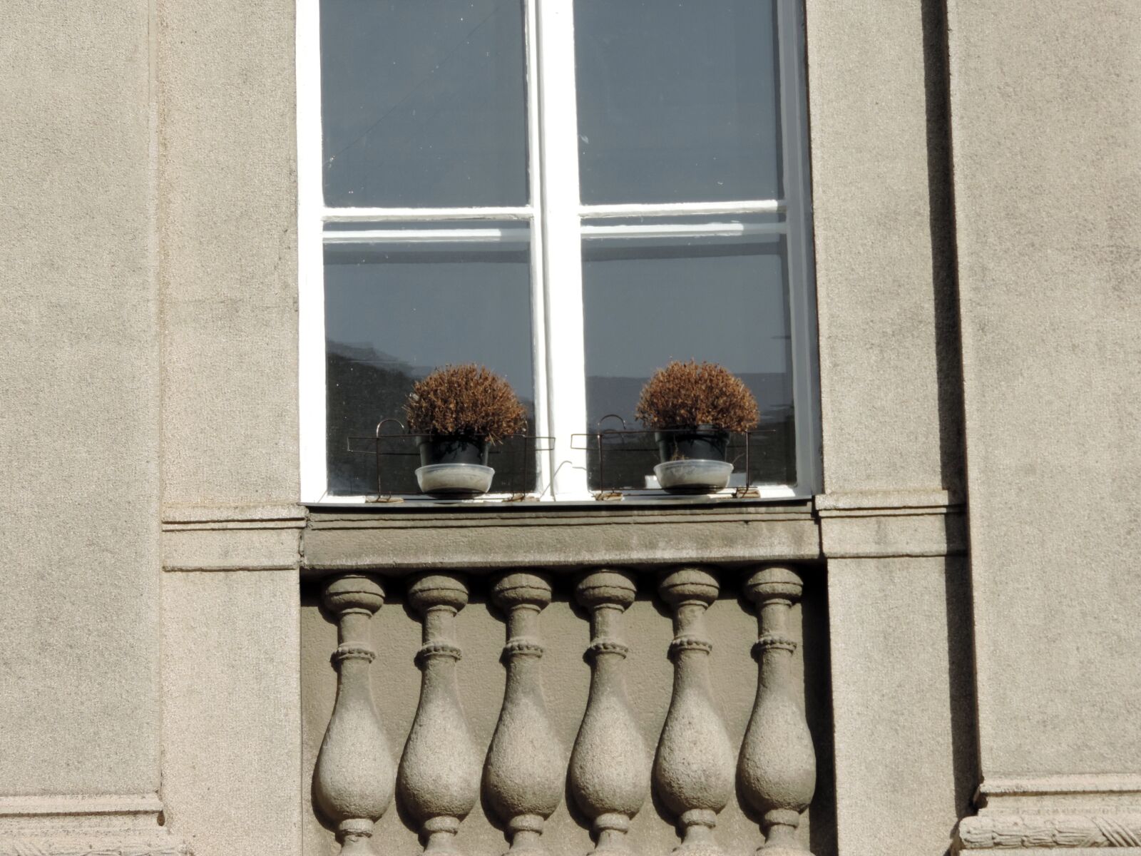 Nikon Coolpix P520 sample photo. Exterior, facade, flowerpot, sill photography