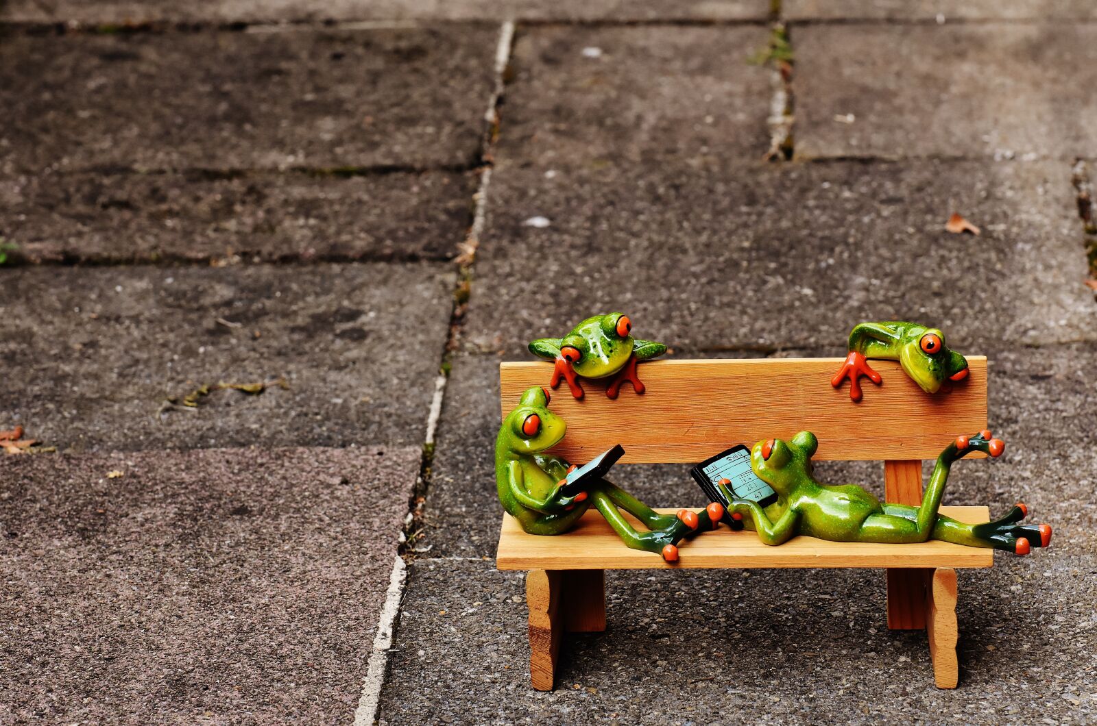 Nikon D7200 sample photo. Frogs, computer, bank photography