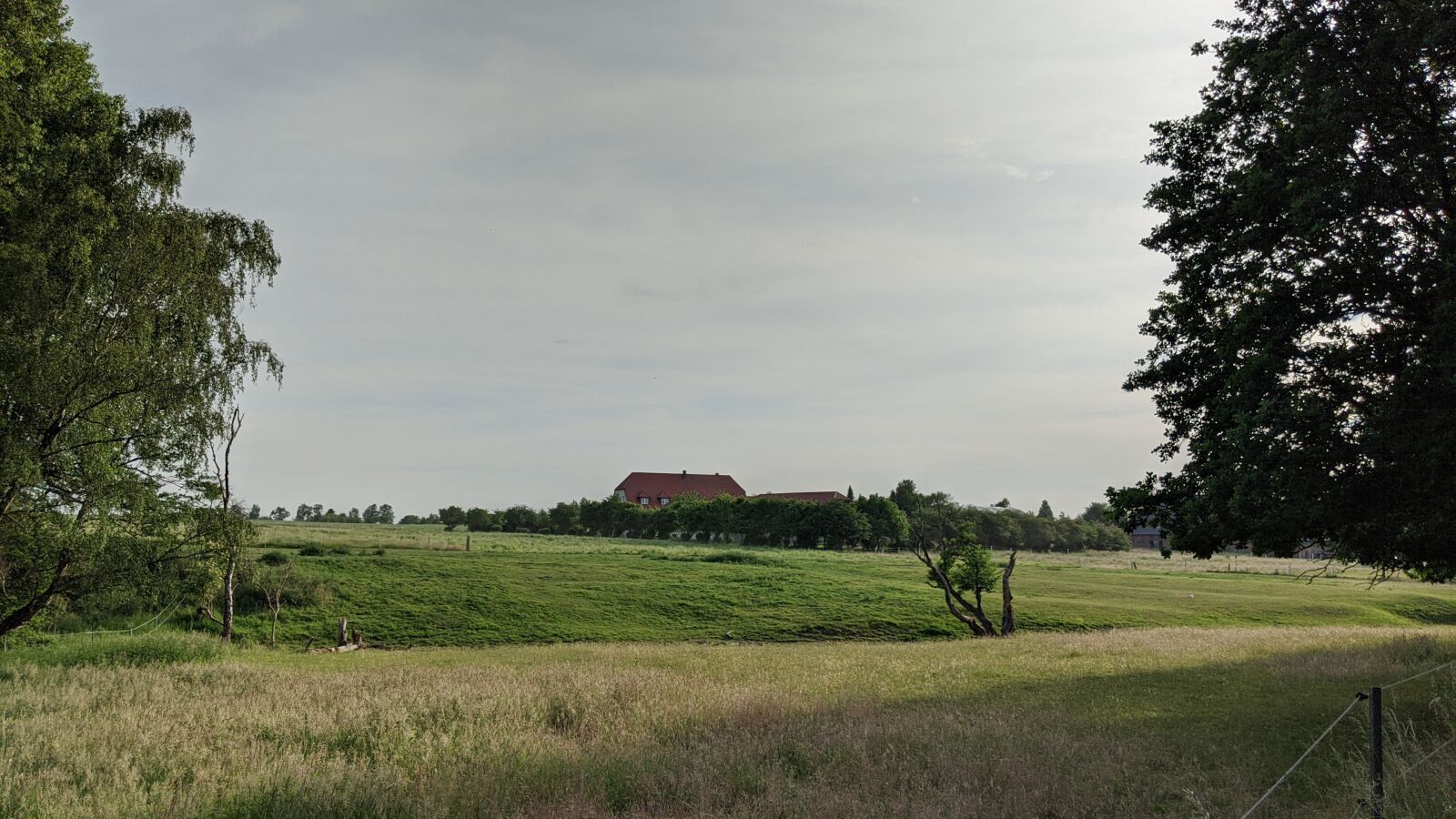 Google Pixel 2 XL sample photo. Meadow, nature, field photography