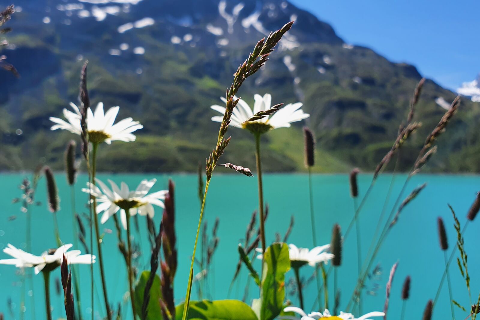 Samsung Galaxy S10+ sample photo. Silvretta, vorarlberg, montafon photography