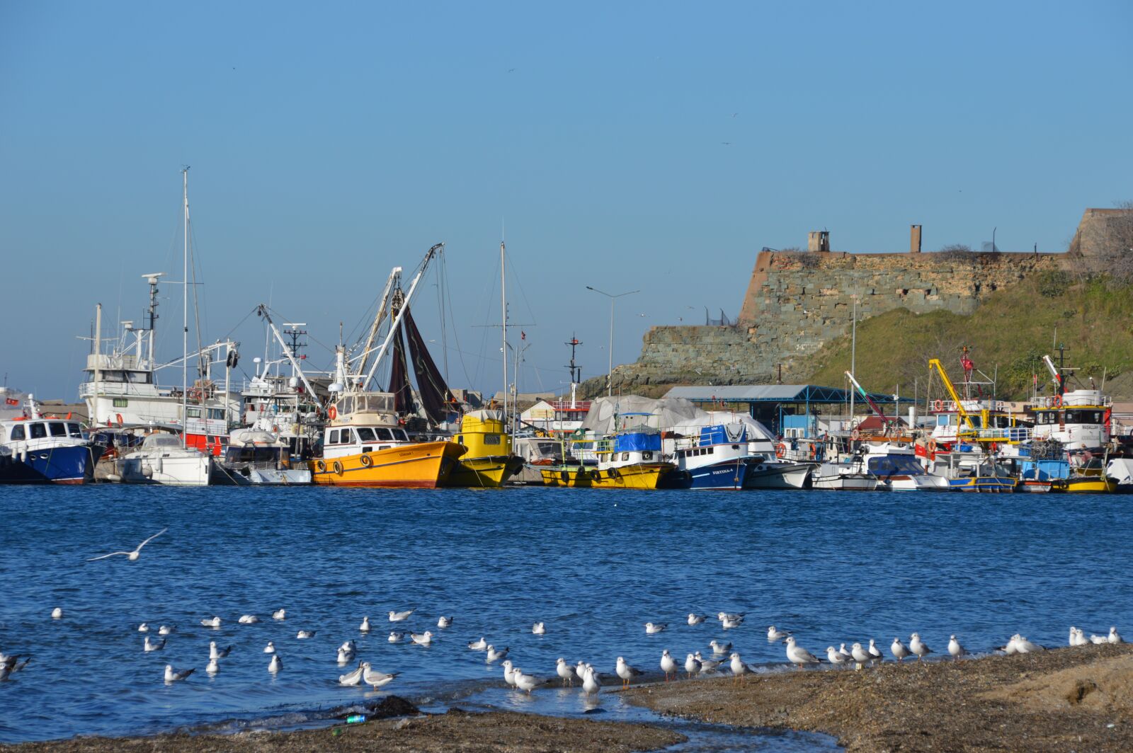 Nikon D3200 sample photo. Marine, water, ship photography