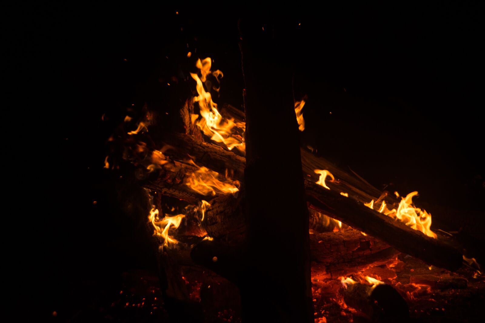 Nikon D610 sample photo. Campfire, fire, camping photography